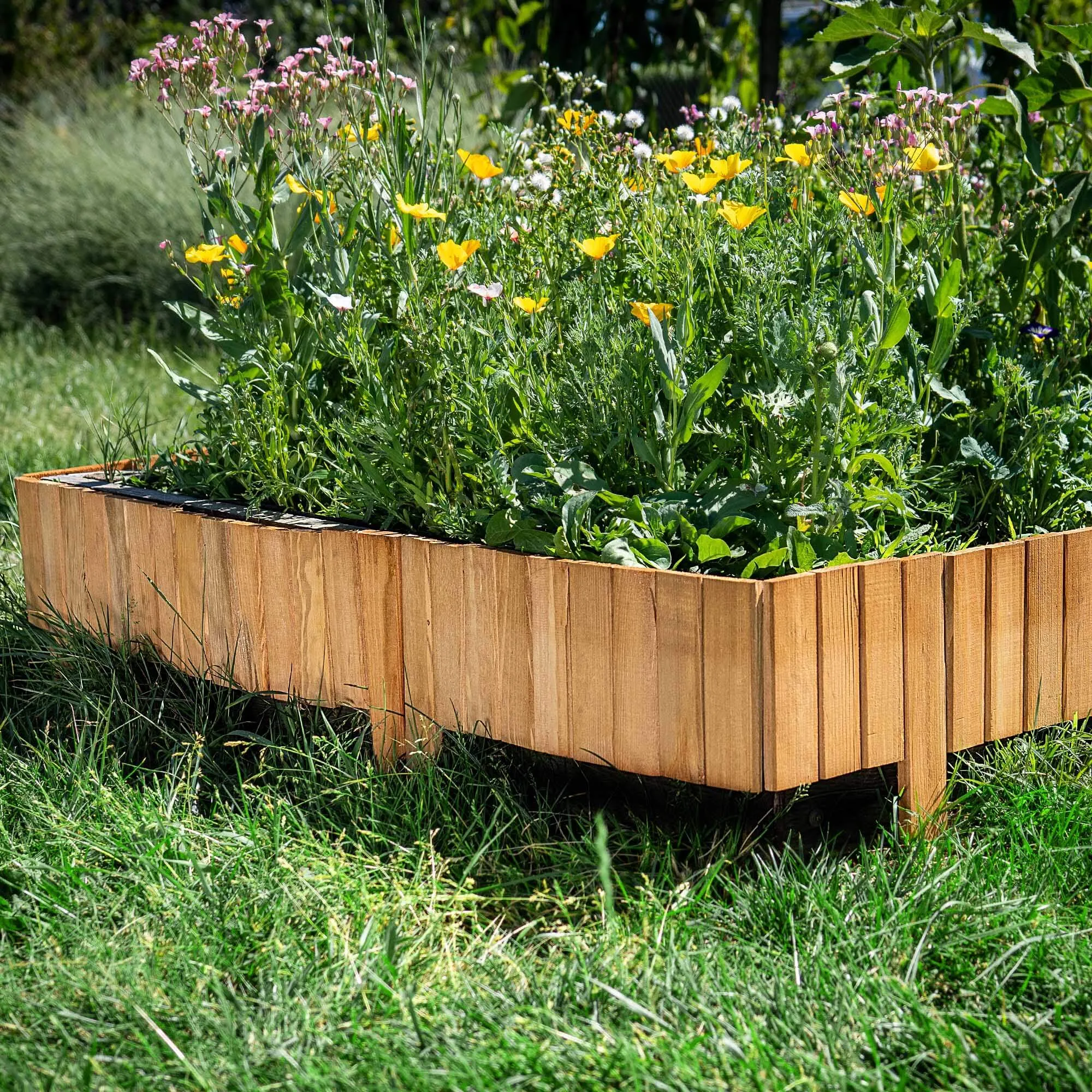 Medinė ritininė tvora Ansjo, apvadu, 115 x 15 cm, ąžuolas