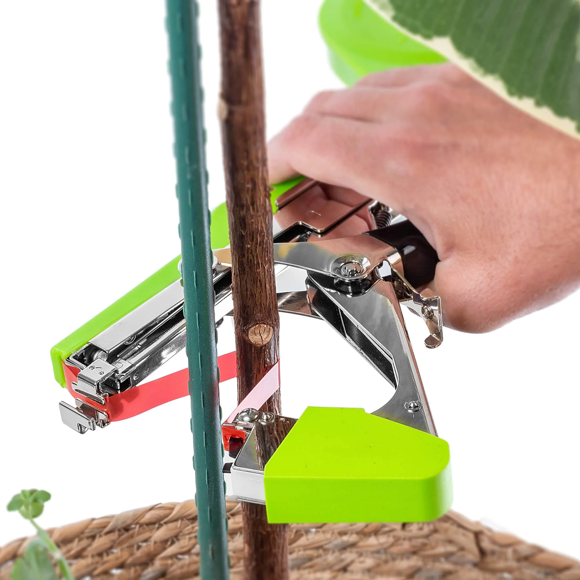 Larret sodo segiklio segiklio rinkinys 7 x 4 mm 10000 vnt.