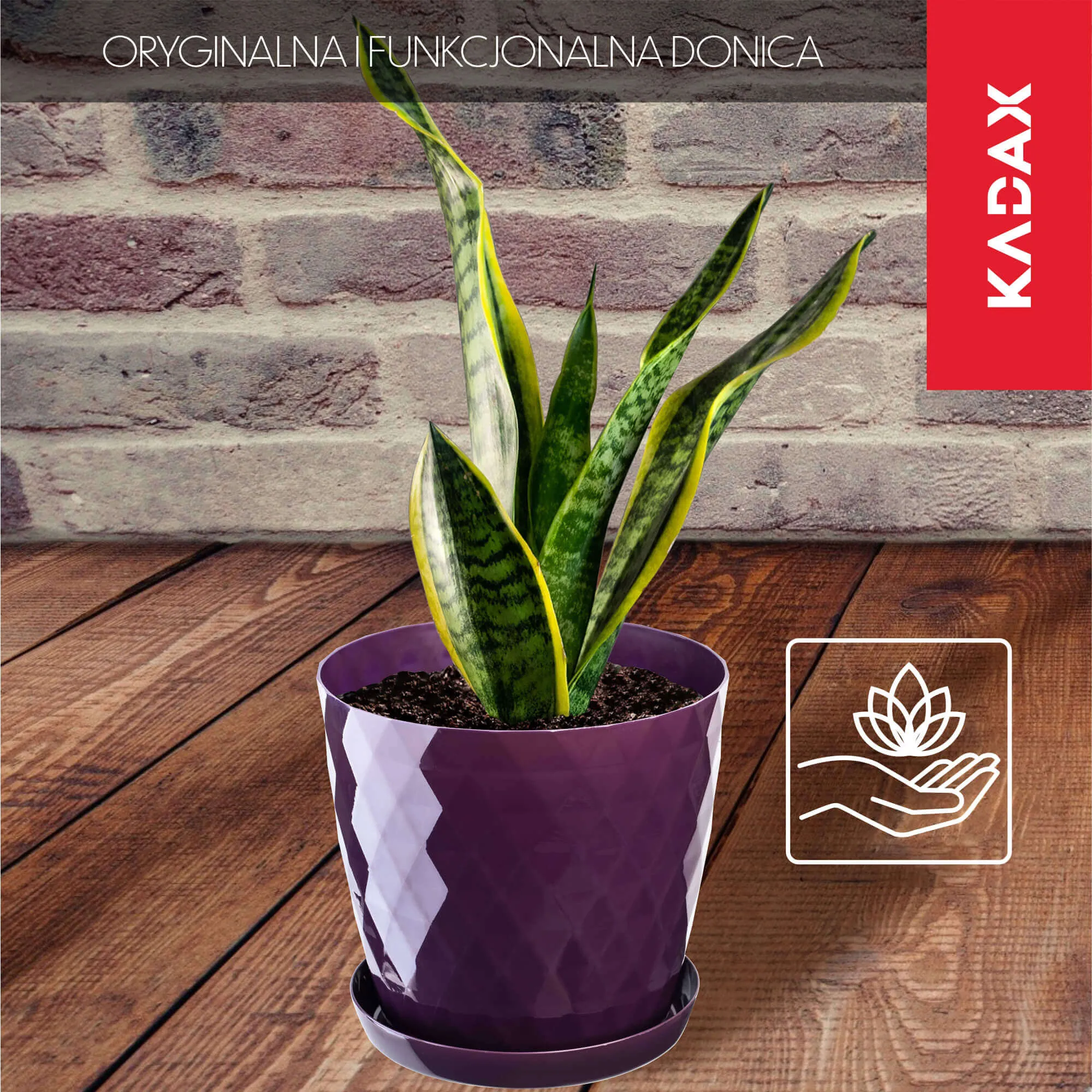 Amily gėlių vazonas su lėkštute 25 cm