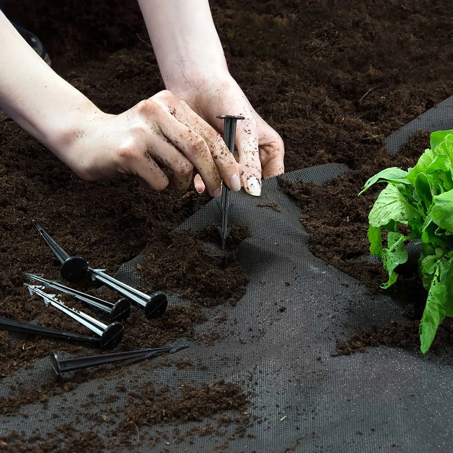 Sodo agrotekstilė 1 m x 75 m + 50 „Plonos“ kaiščių - juoda - nuotrauka 1