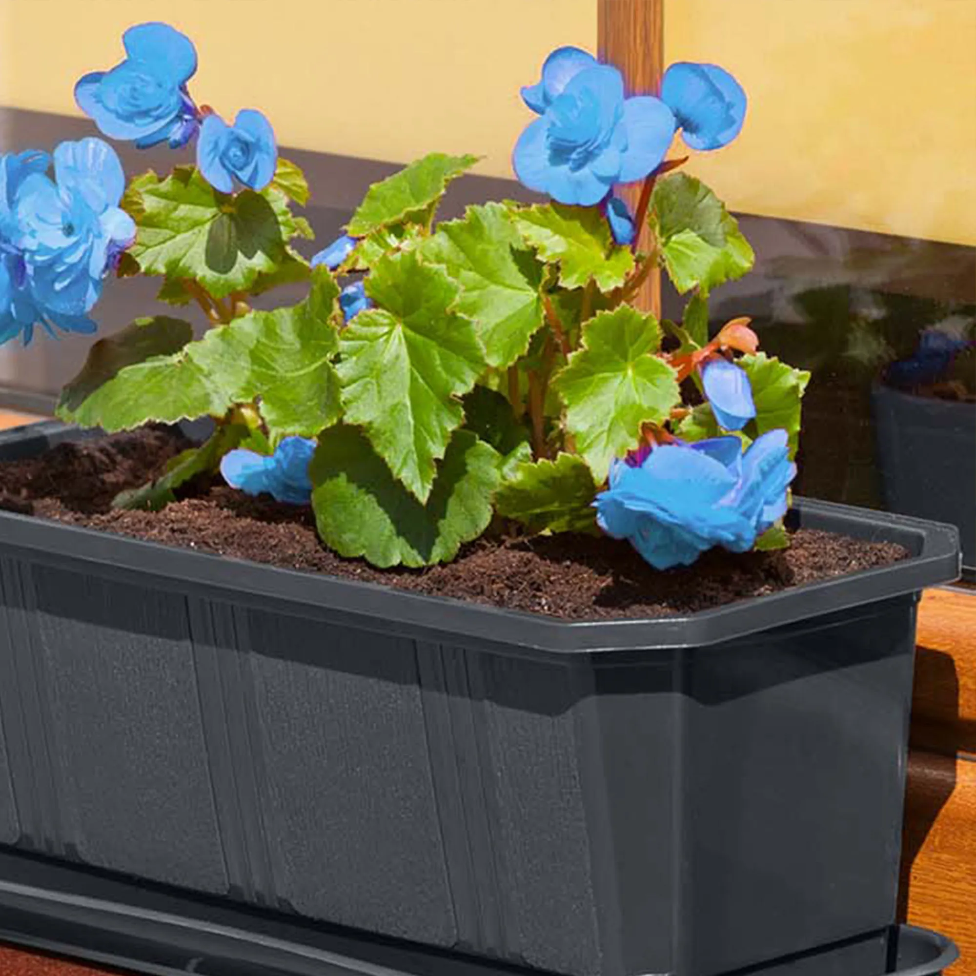 Balkoninis vazonas su rankenėlėmis grafito spalvos Oste 40 cm