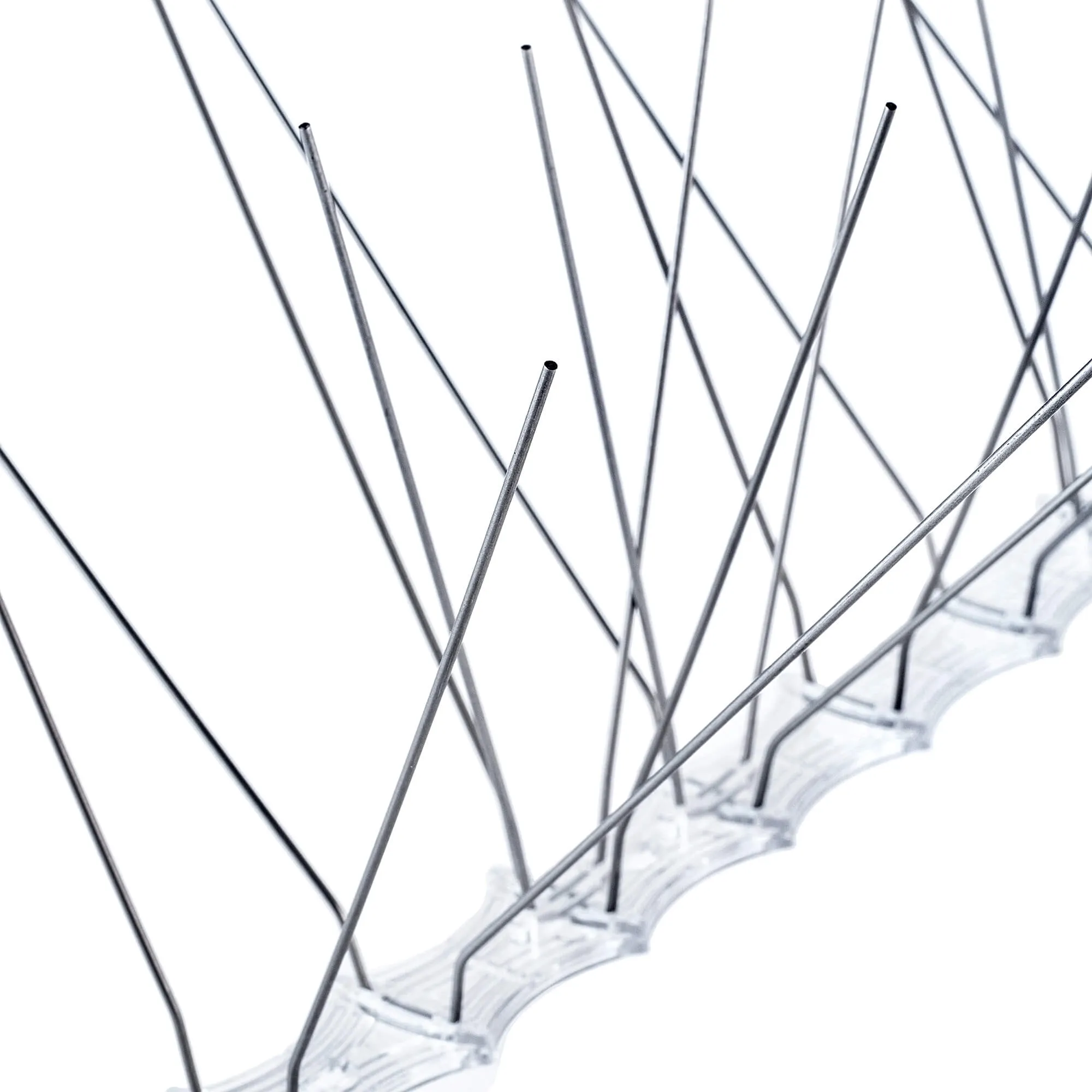 Paukščių spygliai 33 x 10 cm, 1 vnt.