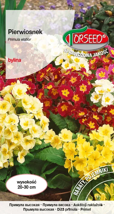 Raktažolė – Primula elatior mišinys 0,3g