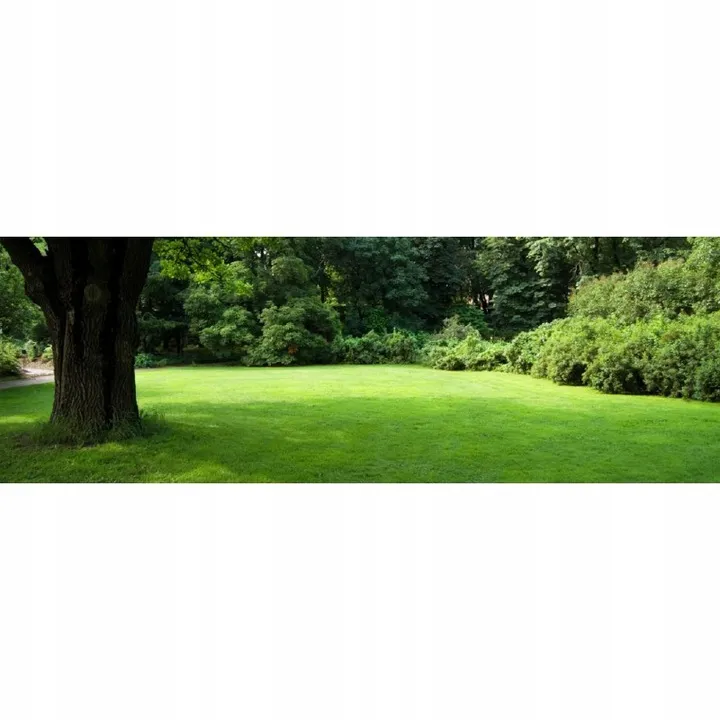 Barenbrug Shadow&Sun 5 kg pavėsiui ir saulei atspari žolė