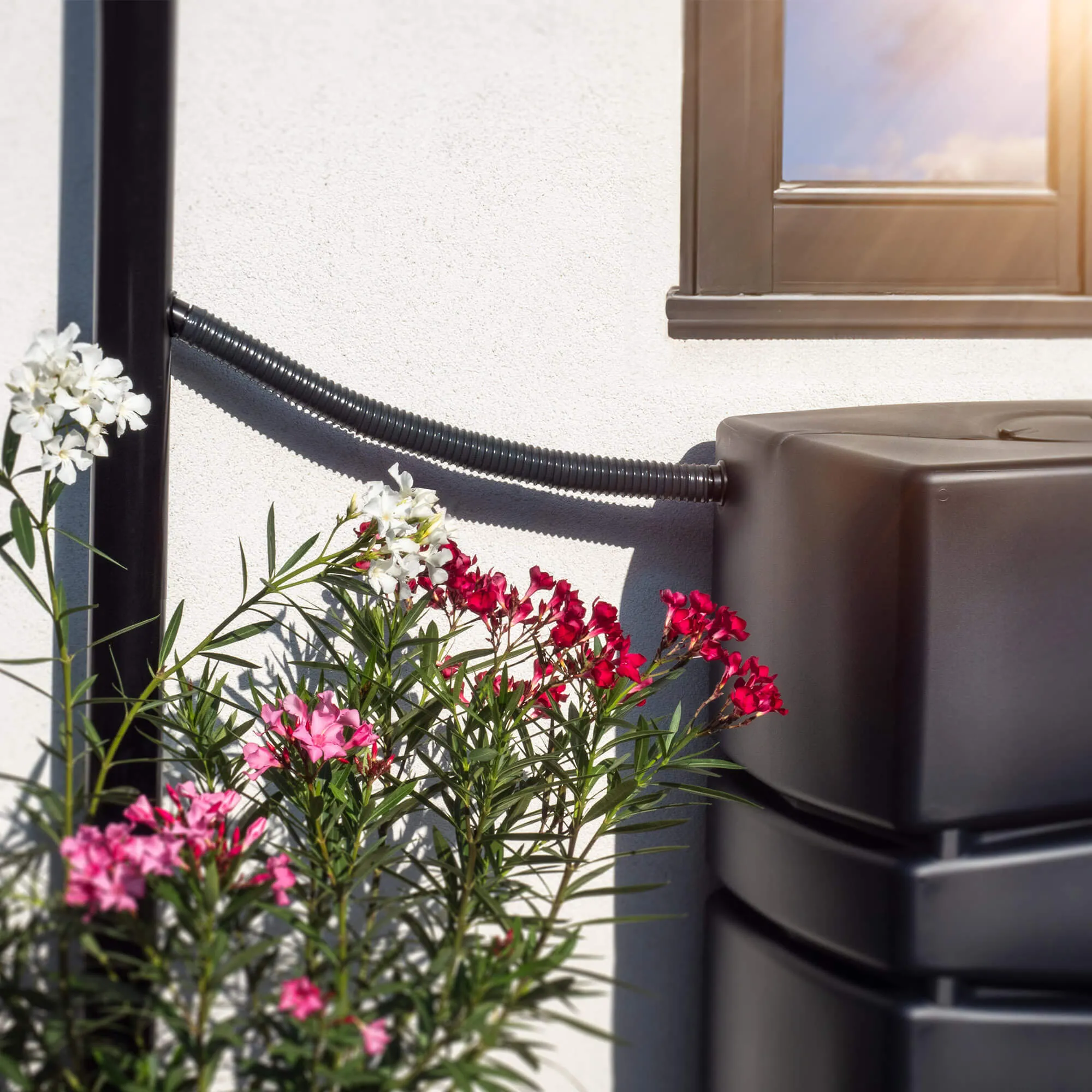 „Trest“ jungčių rinkinys 80 cm x 40 mm, juodas