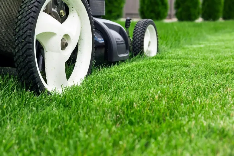 Barenbrug Shadow&Sun 5 kg pavėsiui ir saulei atspari žolė