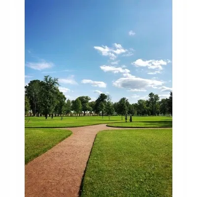 Pavėsiui ir saulei atspari žolė Barenbrug Shadow&Sun 15 kg