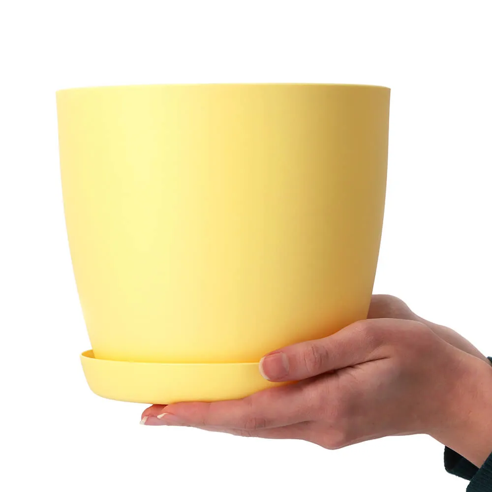 Agen vazonas su lėkštute 25 cm