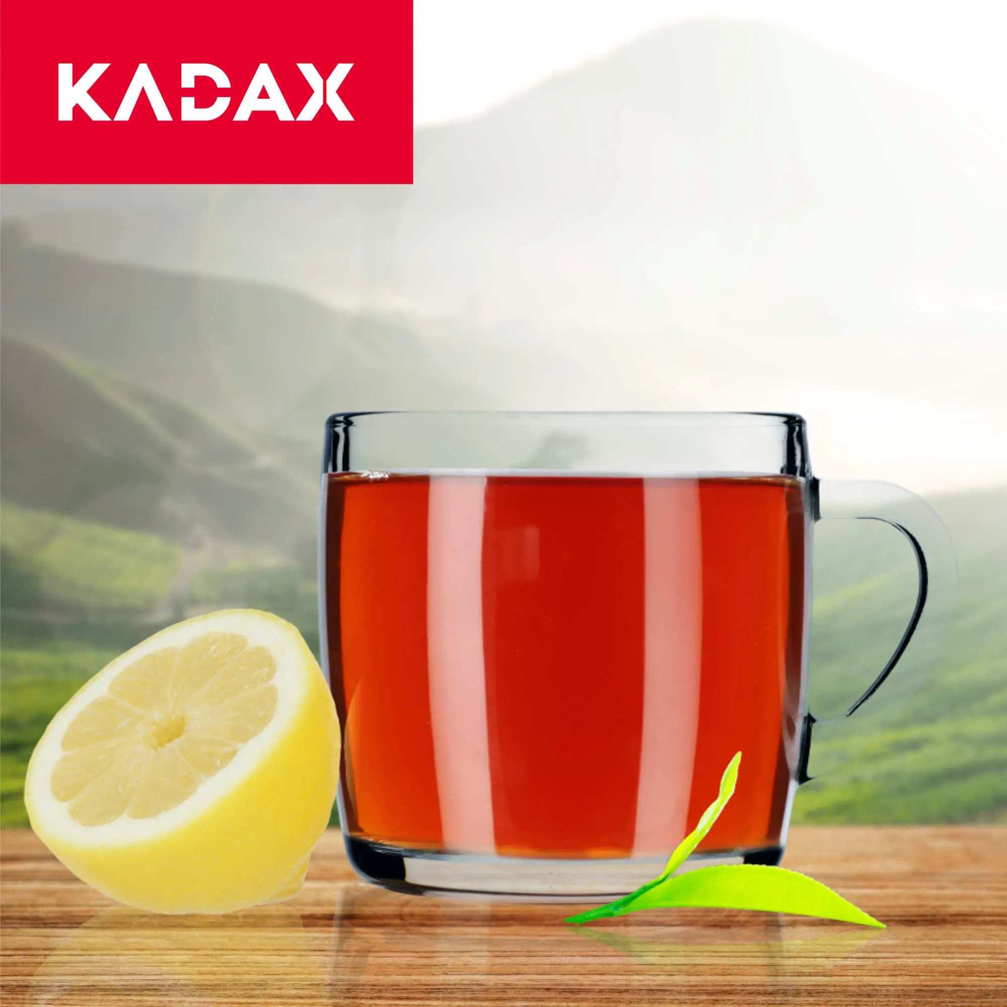 Barnico kavos ir arbatos puodeliai 310 ml, 6 vnt.