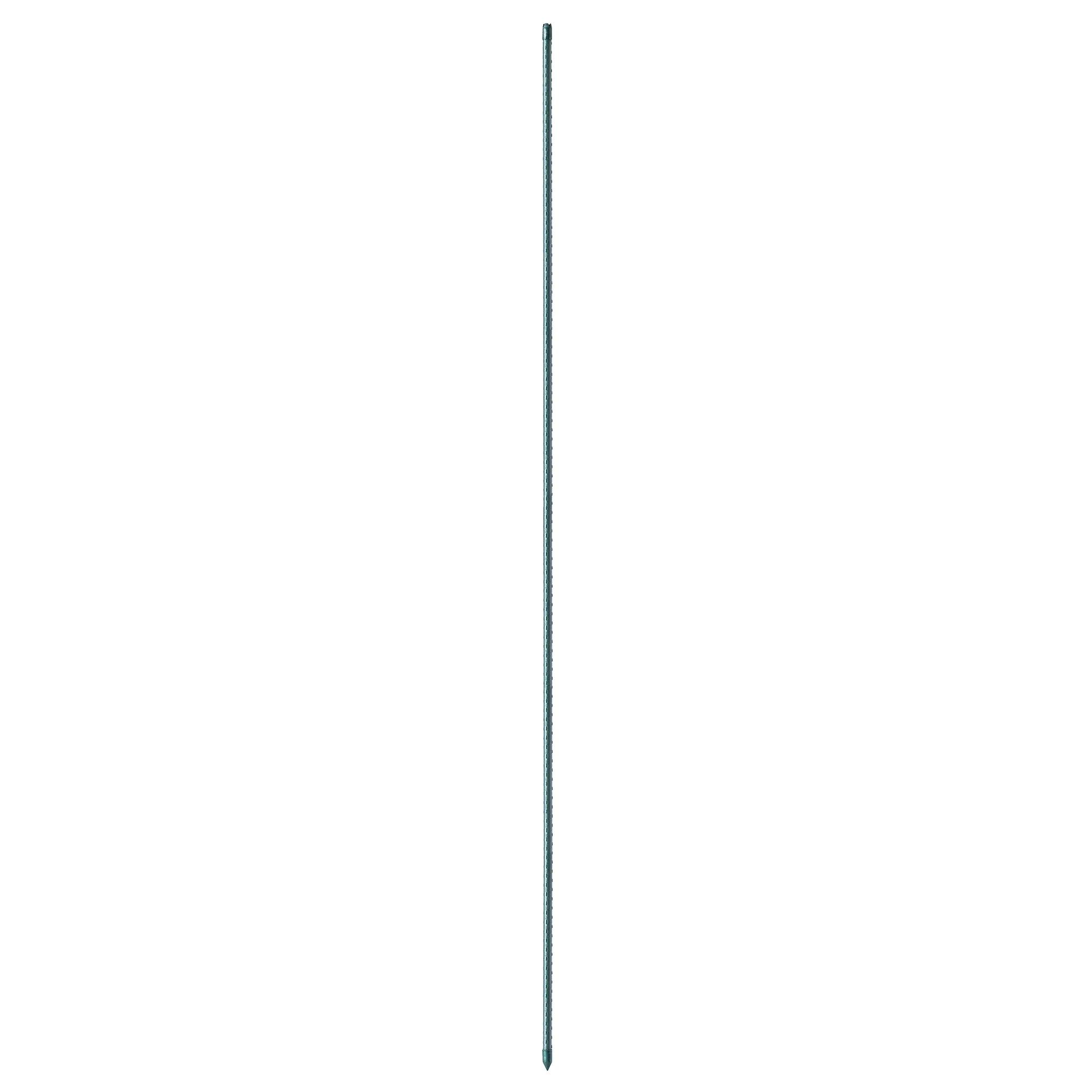 Sodo atramos augalams Trang 180cm 16mm 5vnt