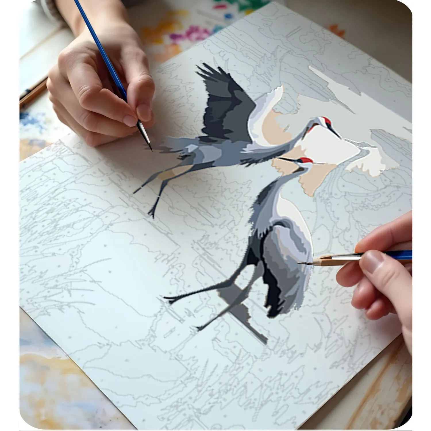 Paveikslas „Tapyba pagal skaičius“ 40x50 cm, Massido Cranes - nuotrauka 1