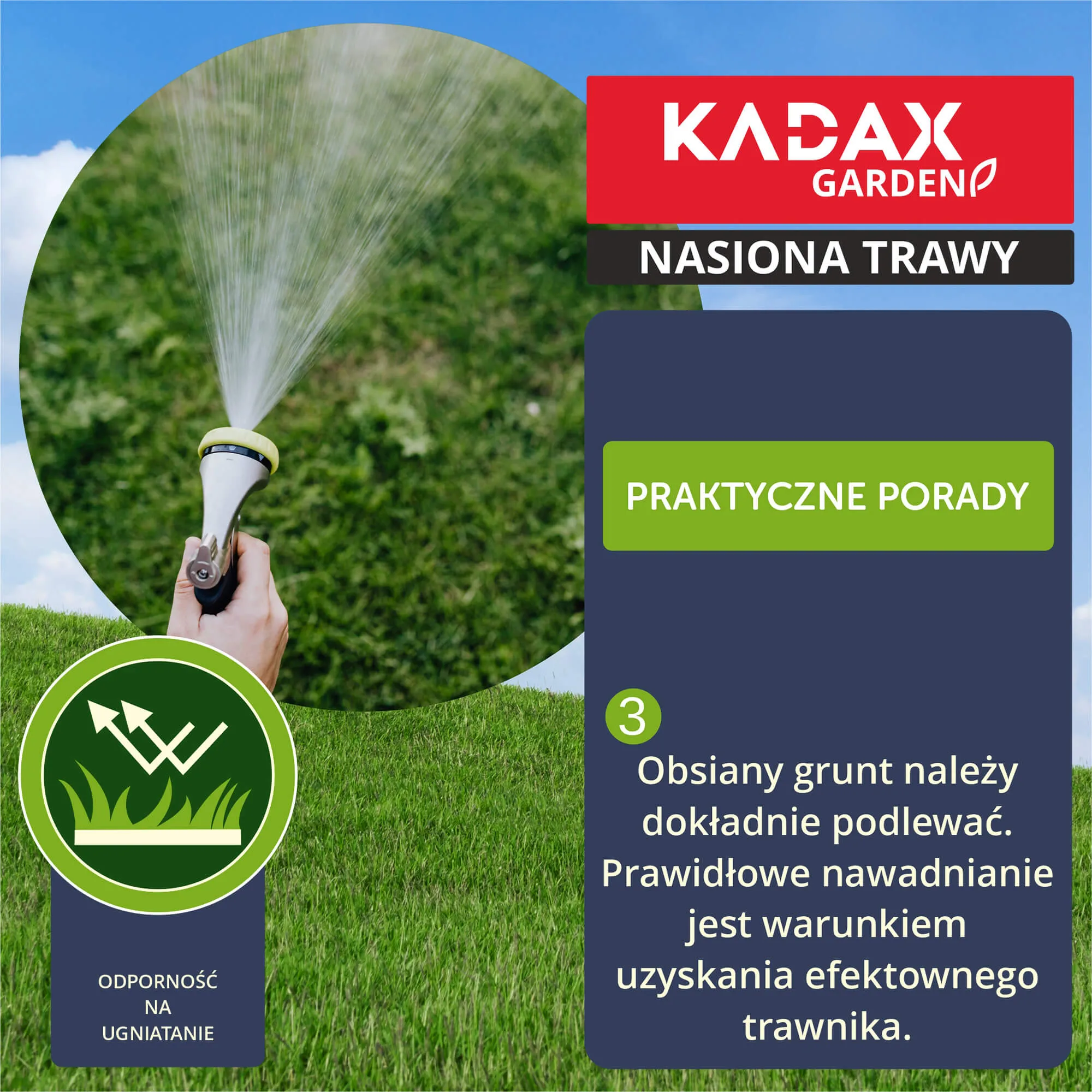 Sportinė žolė 5 kg