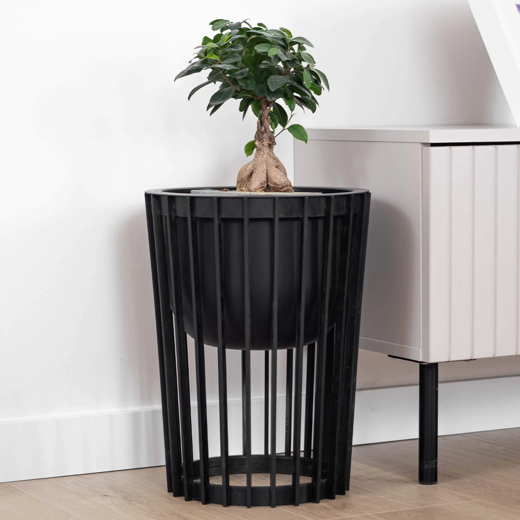 Aytre dvipusis augalų stovas 54 cm juodas + 2 įdėklai