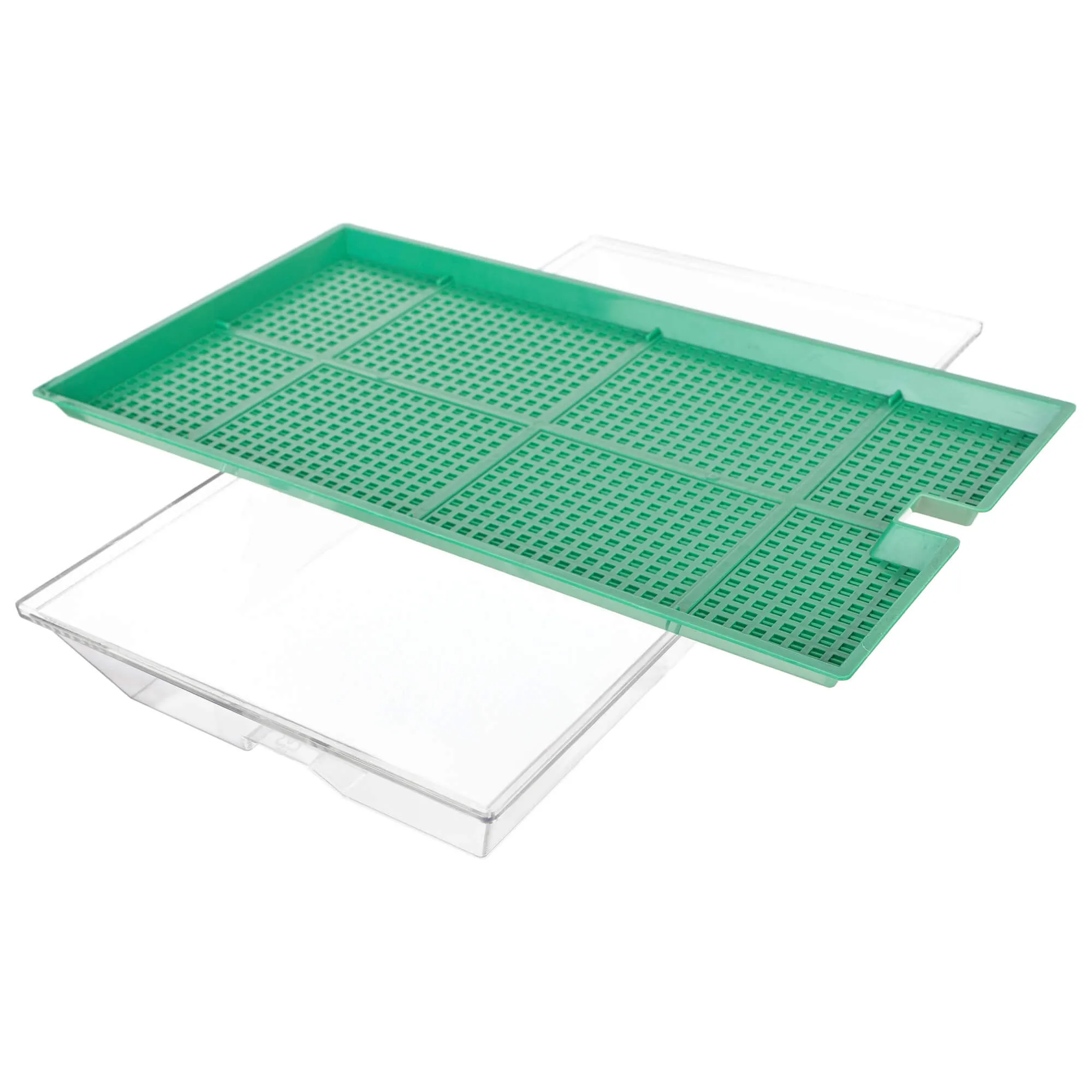 Clion daiginimo įrenginys didelis 27 x 15 cm žalias