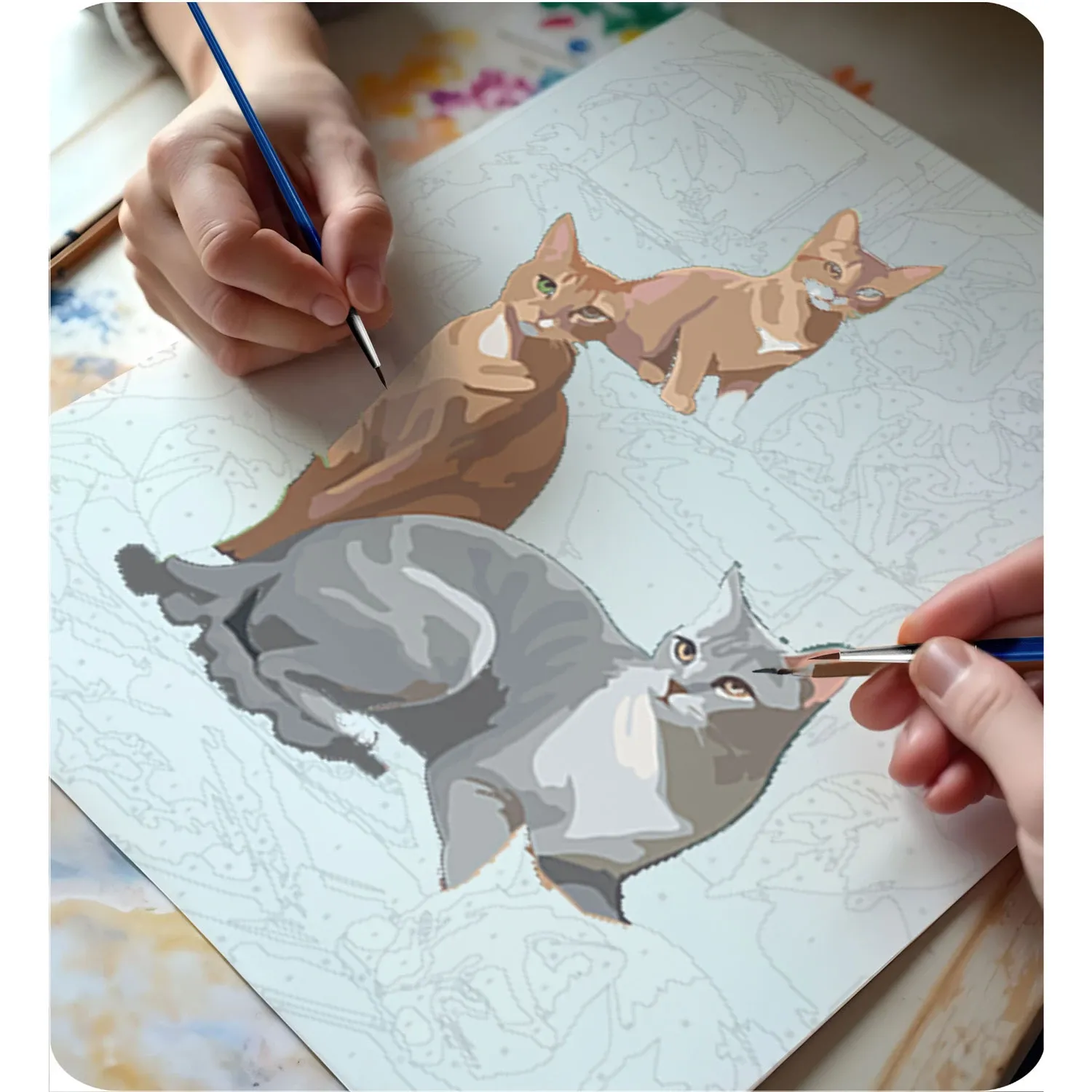 Paveikslas „Tapyba pagal skaičius“, 40x50 cm, Massido katės - nuotrauka 1