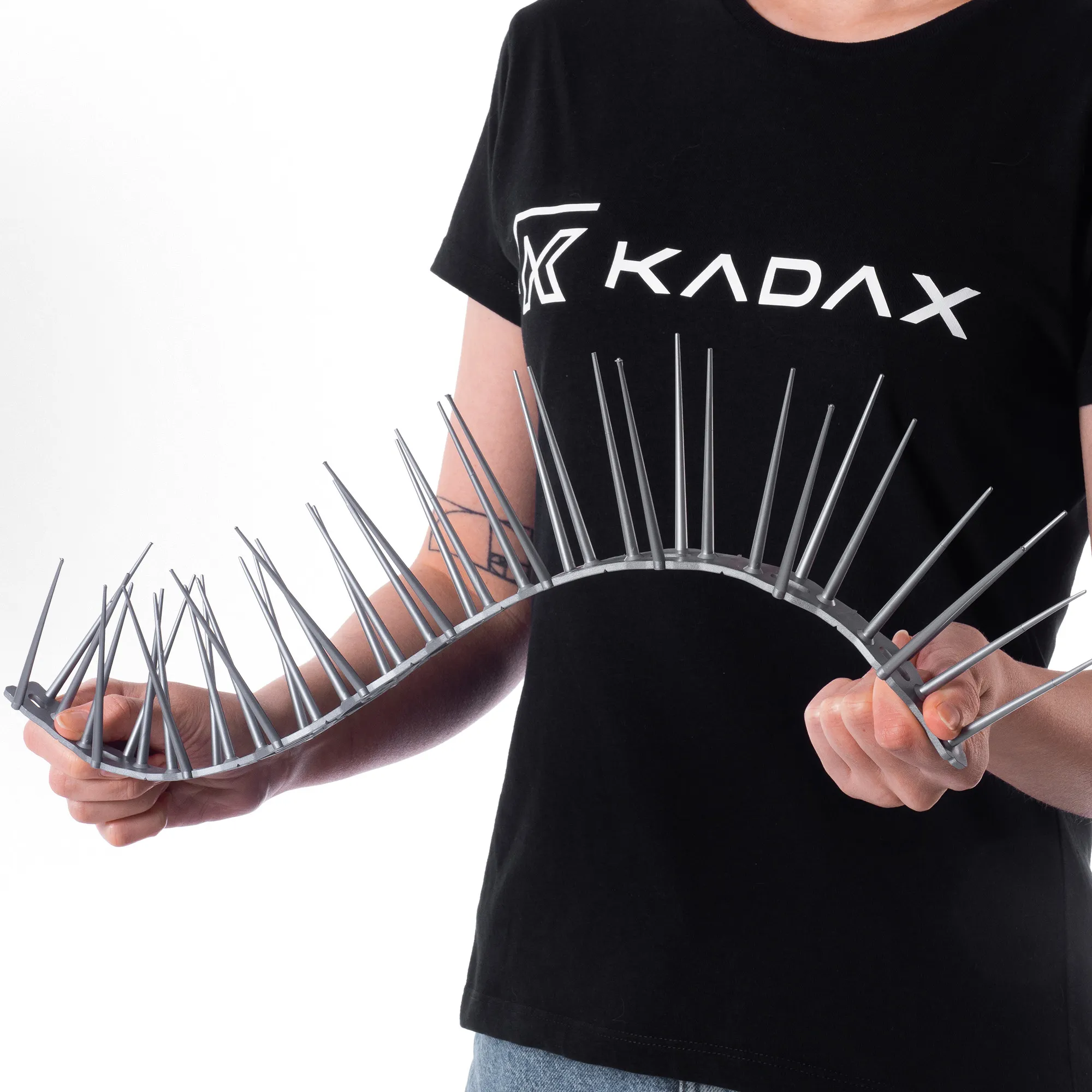 „Dierre“ paukščių atbaidymo spygliai, sidabriniai, 6 vnt.