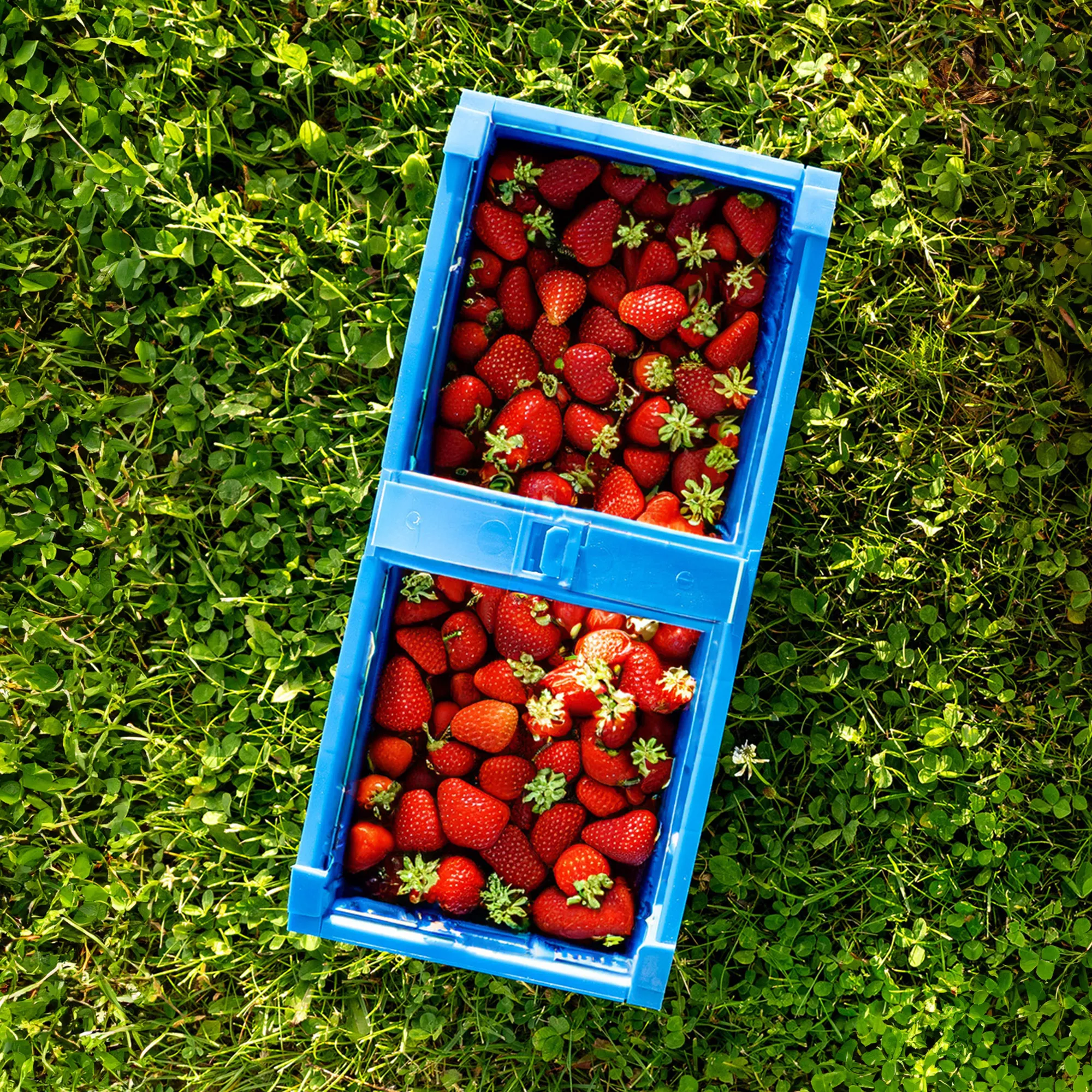 Trito sulankstomas krepšys 40×18 cm mėlynas