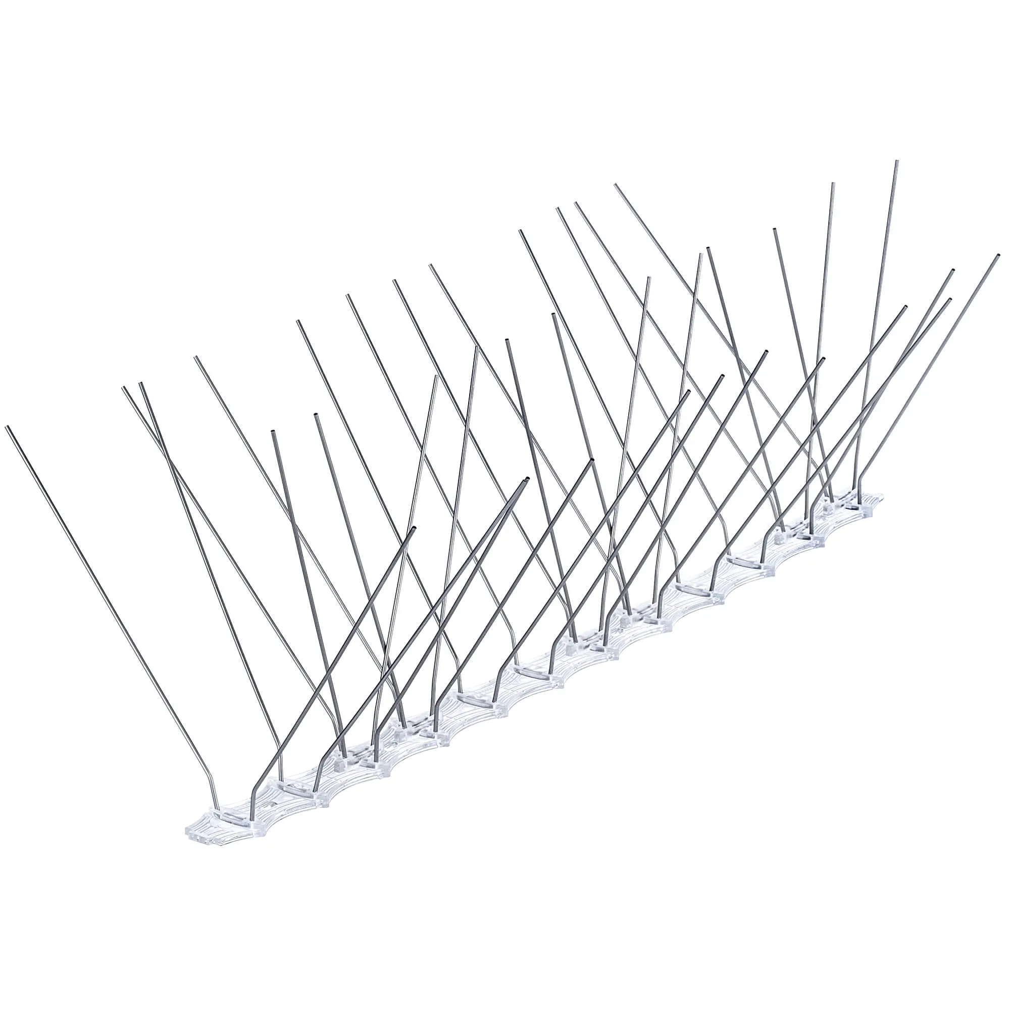 Paukščių spygliai 16 x 33 cm, 1 vnt.