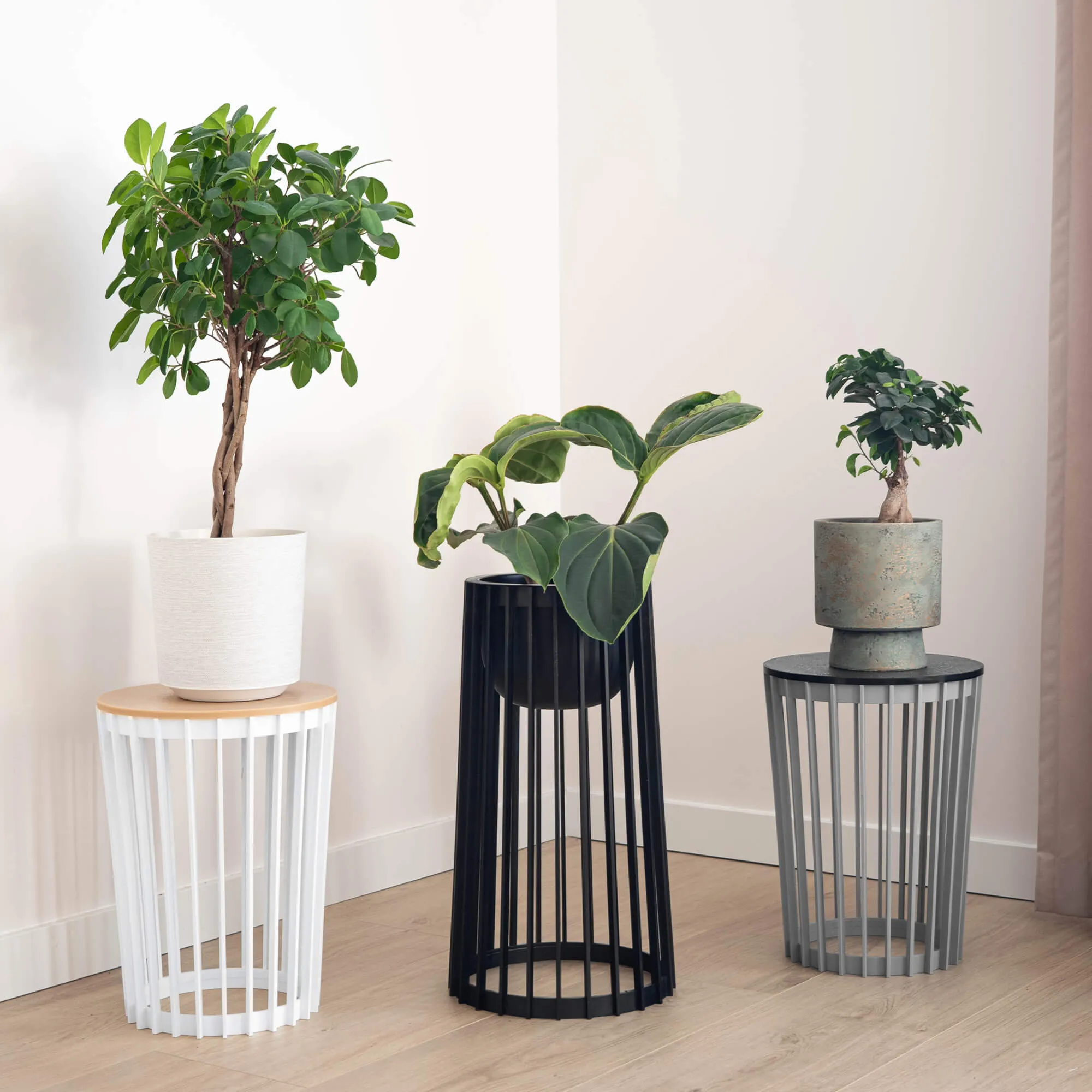 Aytre dvipusis augalų stovas 54 cm juodas + 2 įdėklai