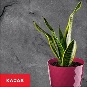 Amily gėlių vazonas su lėkštute 20 cm