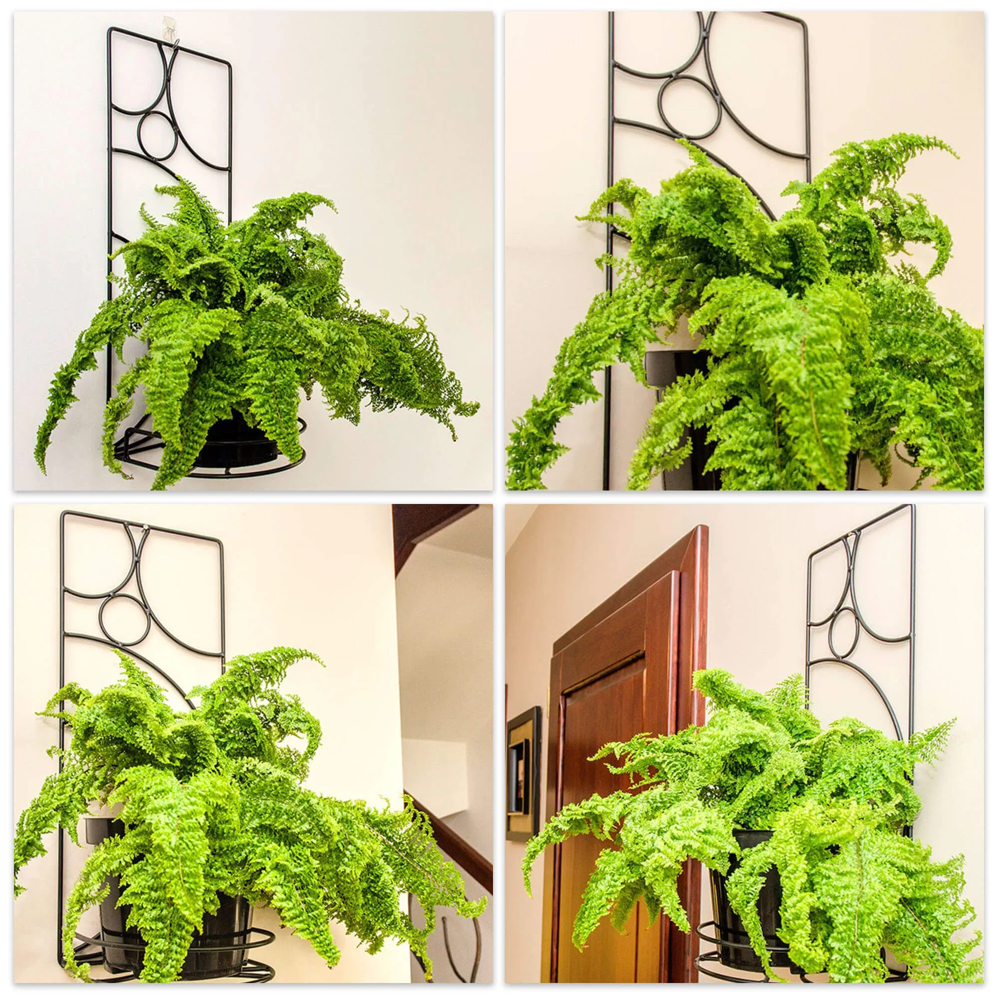 Metalinis gėlių stovas 50 x 20 cm