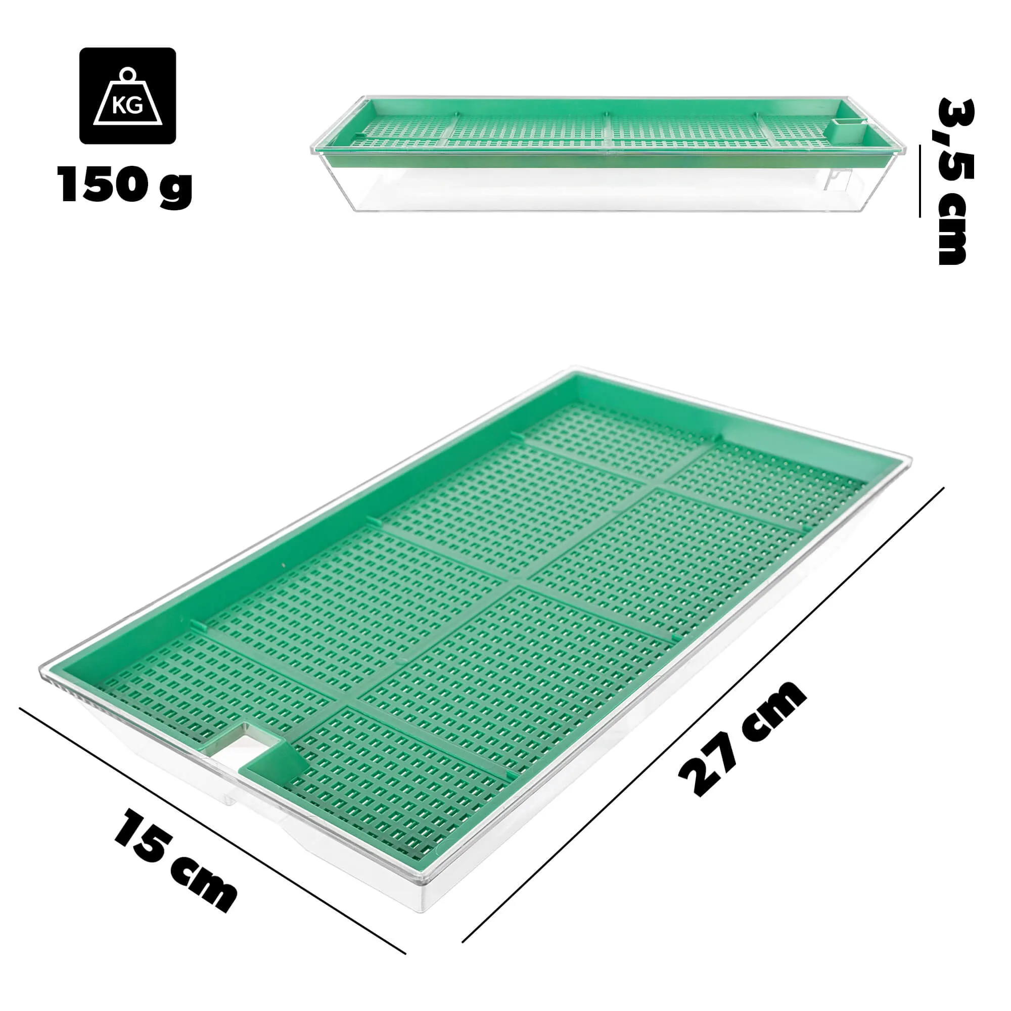 Clion daiginimo įrenginys didelis 27 x 15 cm žalias