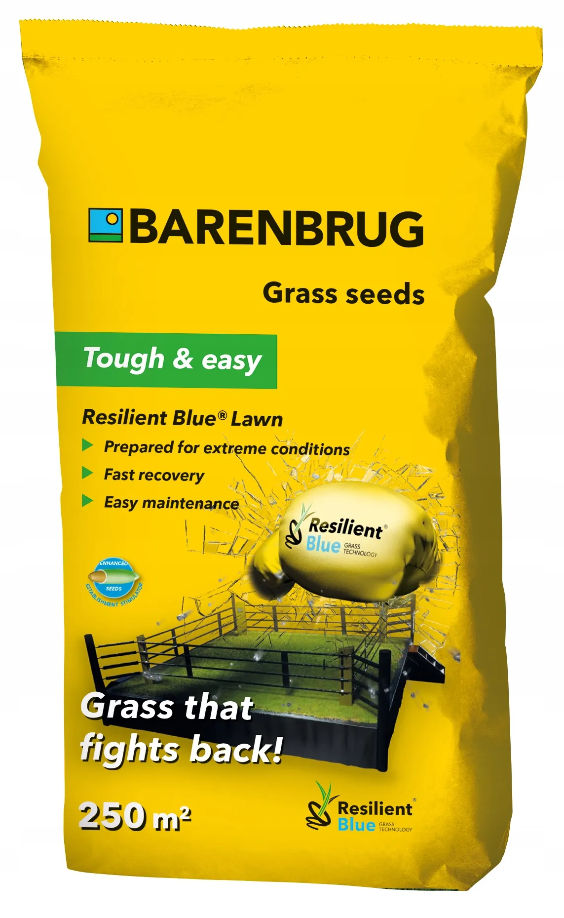 Barenbrug Resilient Blue Lawn 5 kg sausrai atspari žolė
