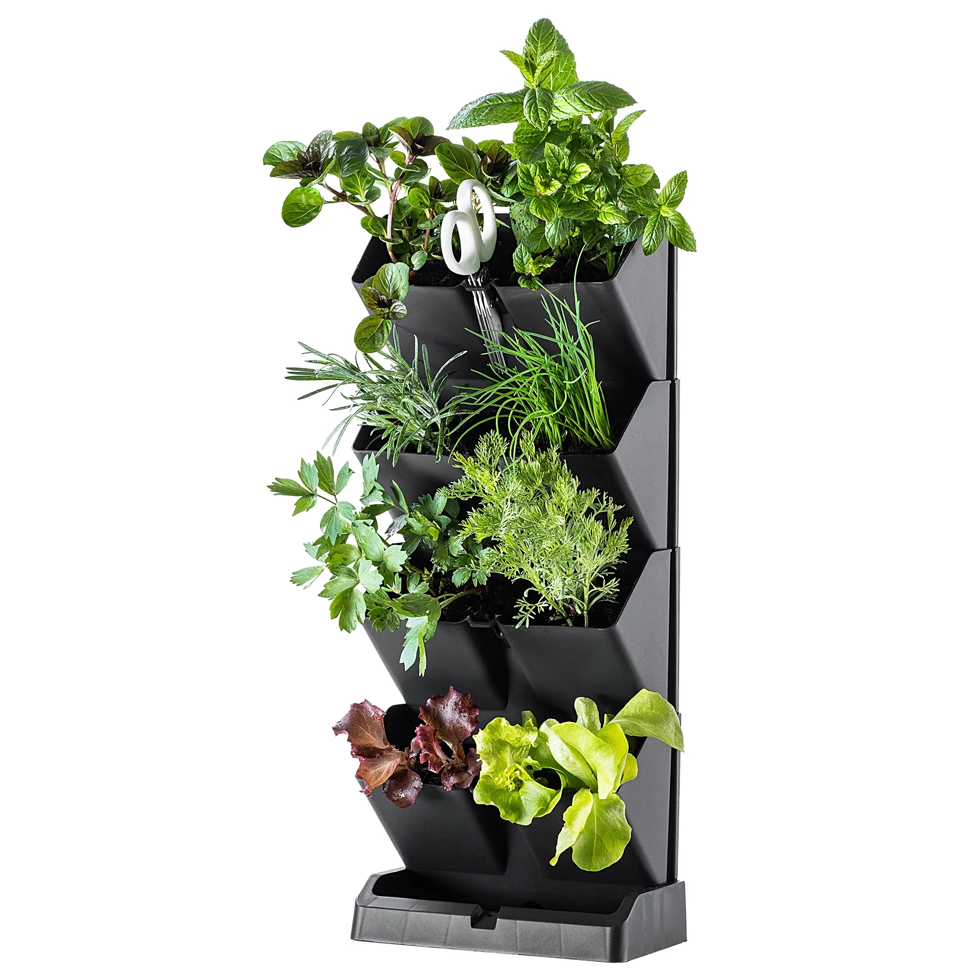Seres stovintis vertikalus sodas 48 x 19 cm, antracito spalvos