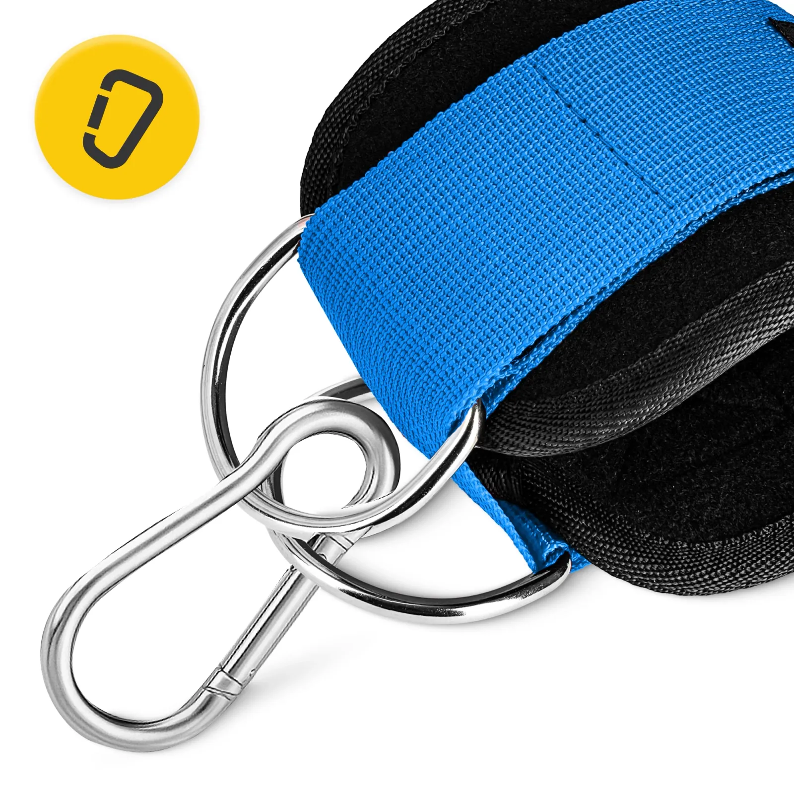 Čiurnos lavinimo juostos skriemuliams