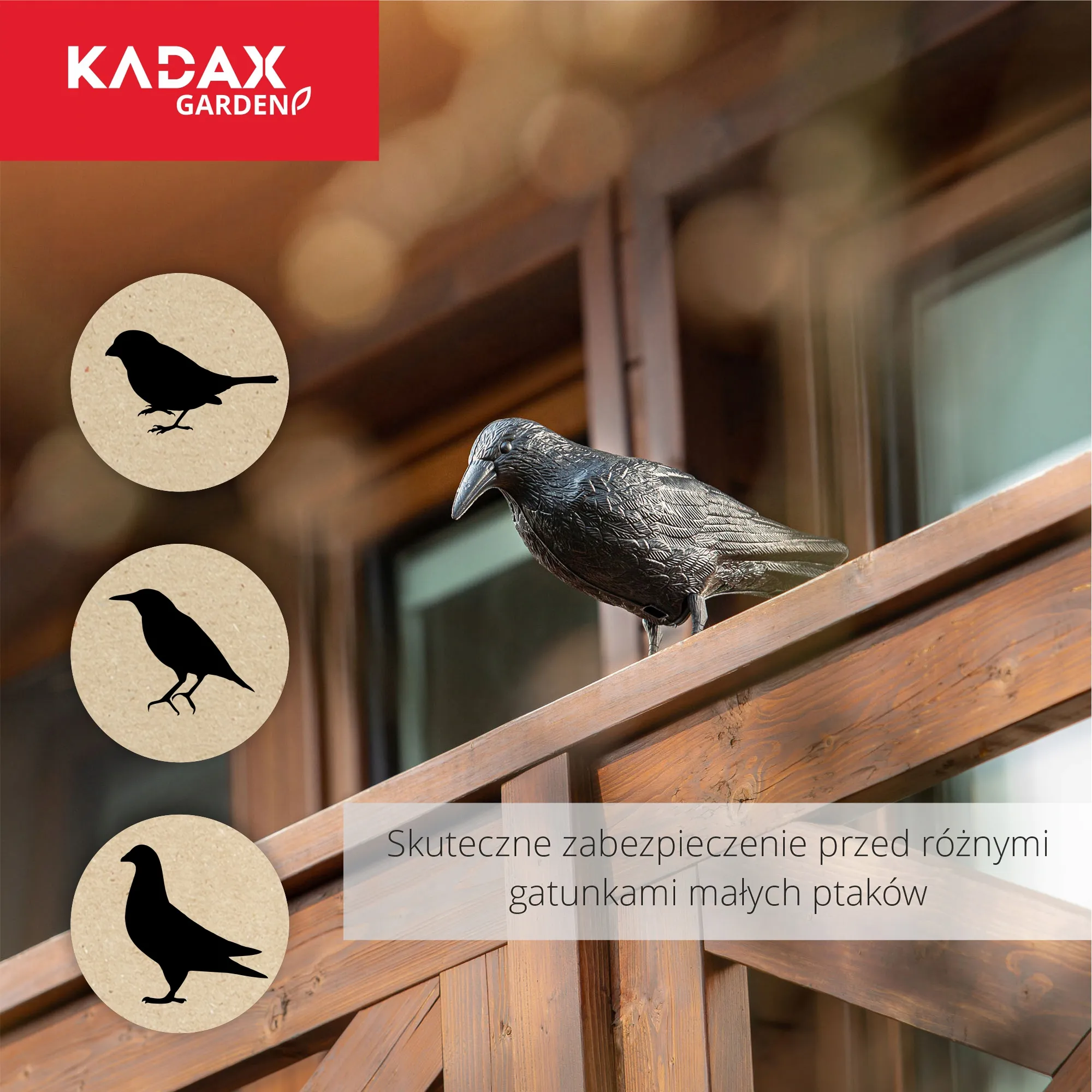 Juodasis varnas, balandžių baidyklė 2 vnt.