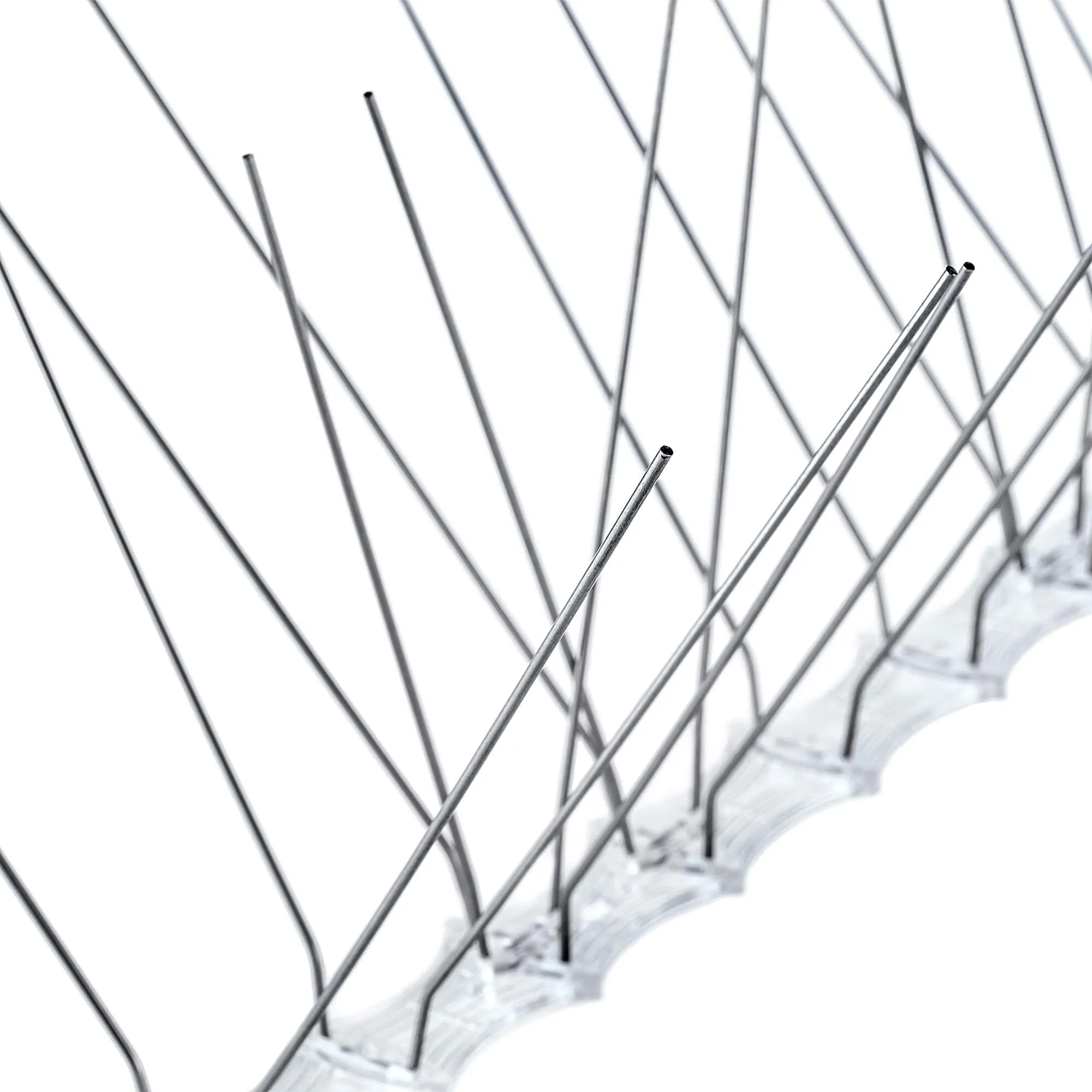 Paukščių spygliai 16 x 33 cm, 1 vnt.