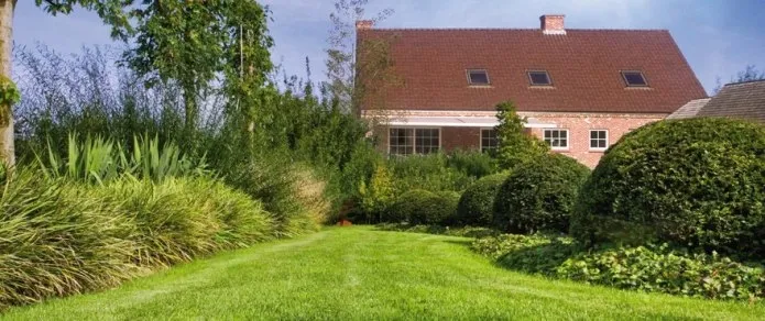 Barenbrug Universal RPR Play&Sport sportinė žolė 15 kg