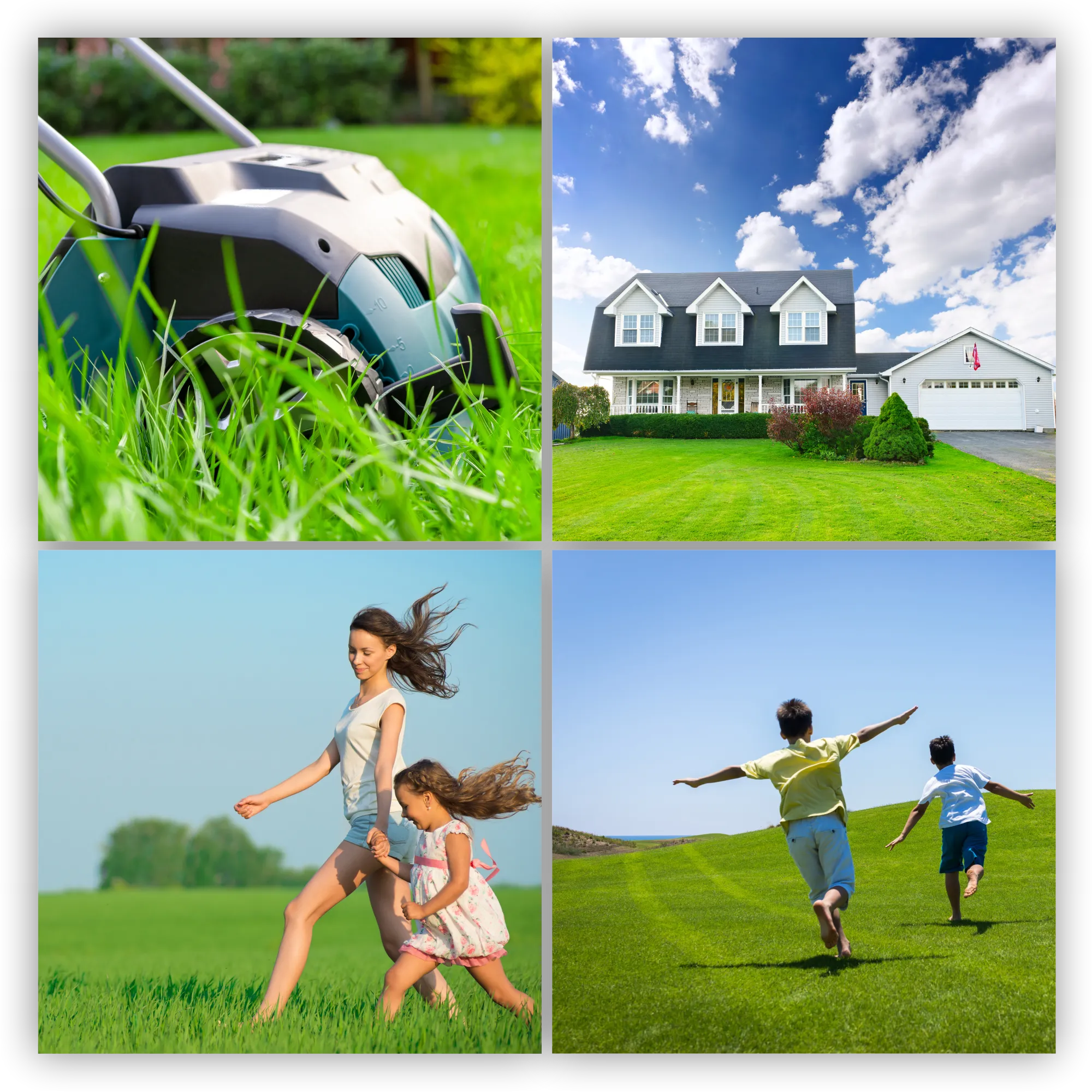 „Riset“ universali žolė, greitai tankėjanti, 1 kg, 50 m2