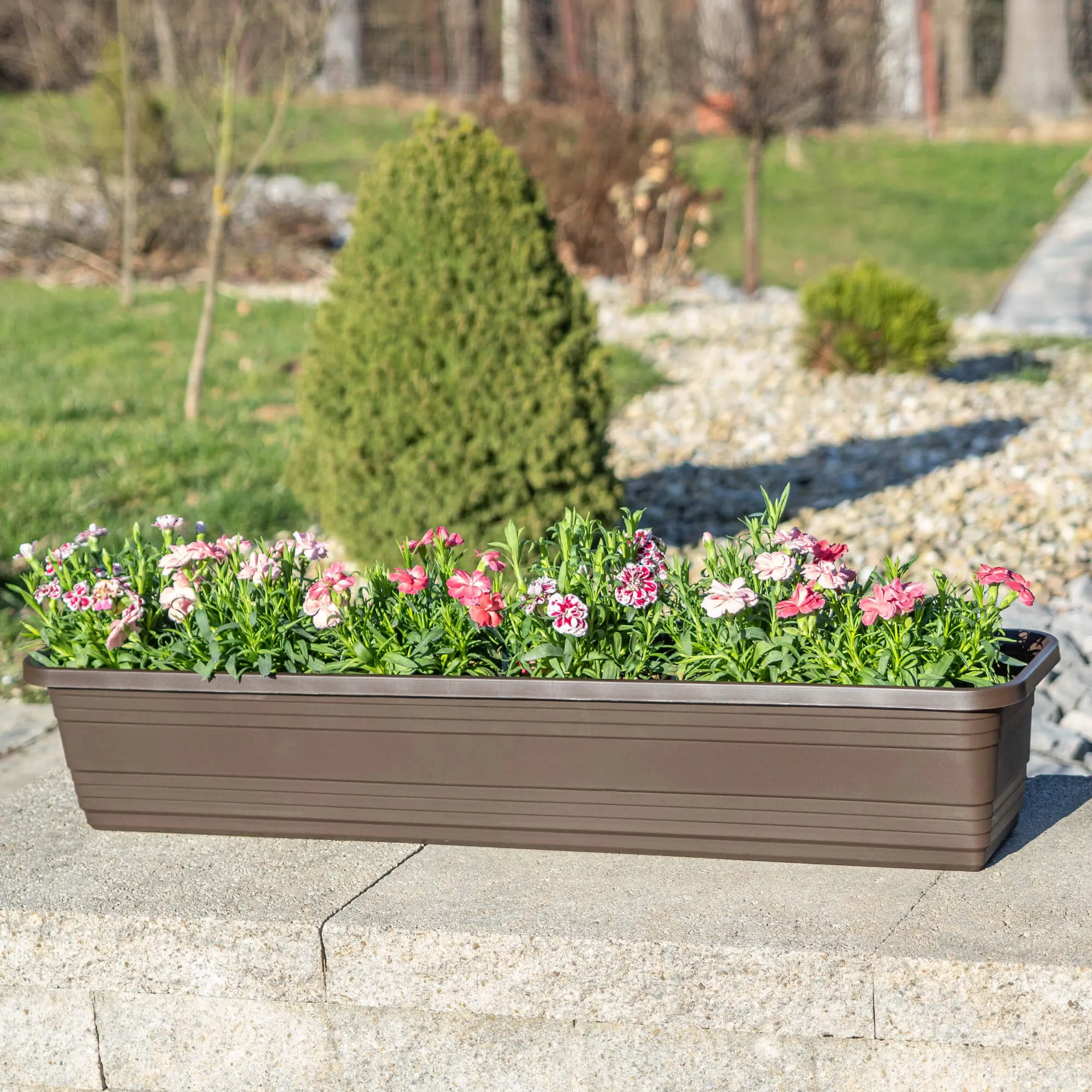 Paulin balkono dėžutė 60 cm moka