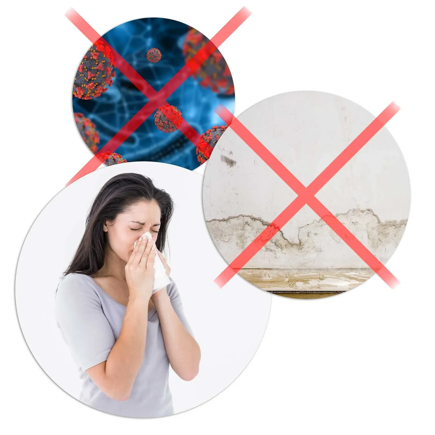 Berdsen BR-20A oro sausintuvas - drėgmės sugėriklis - nuotrauka 1