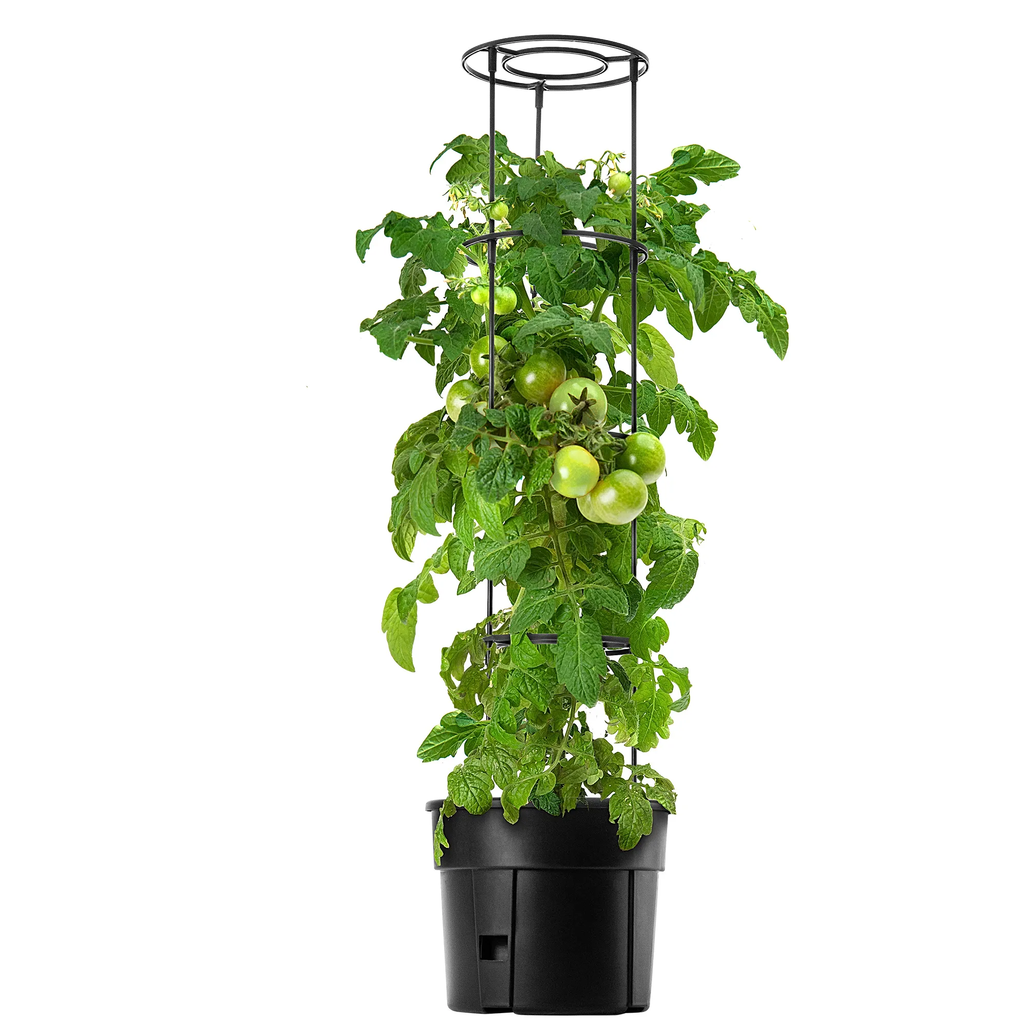 Farsala pomidorų vazonas 30 cm, antracito spalvos