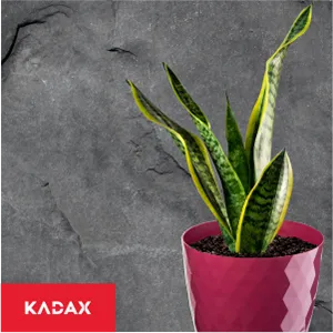 Amily gėlių vazonai su lėkštutėmis 18 cm burnočio spalvos 3 vnt.