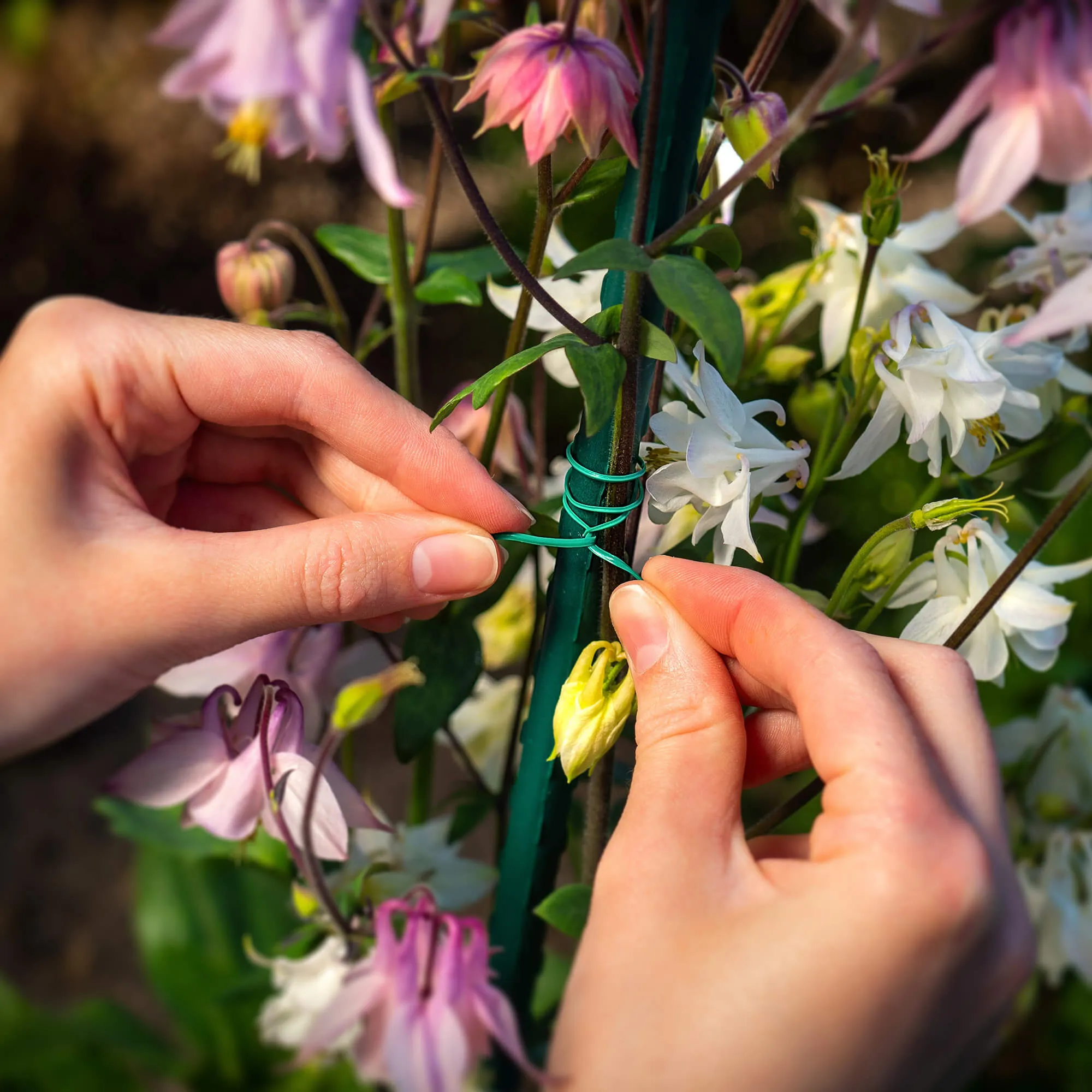 Doumis PVC sodo viela su augalų pjaustytuvu 30 m