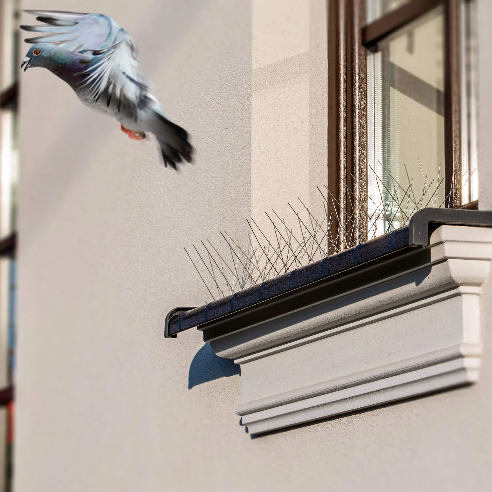 Nerūdijančio plieno paukščių smaigai 33 x 17 cm, 9 vnt.