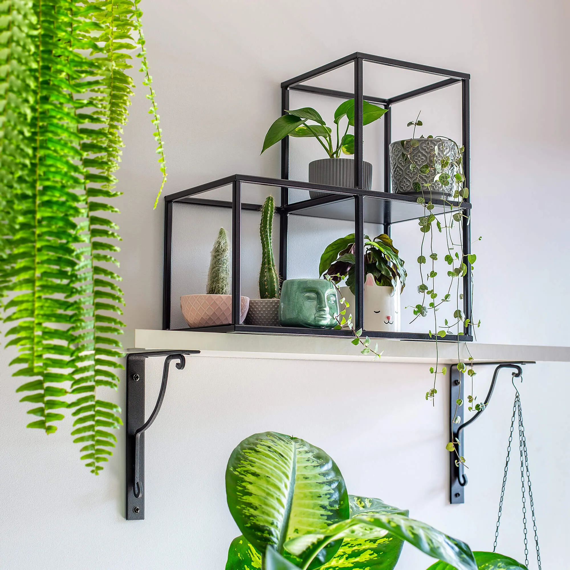 „Narcao“ modulinis augalų stovas