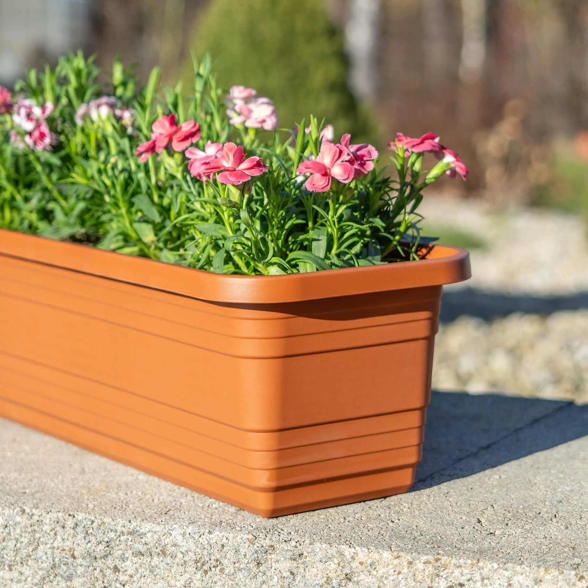 Paulin balkono dėžutė 40 cm terakotos spalvos
