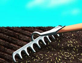 Barenbrug Universal RPR Play&Sport sportinė žolė 5 kg