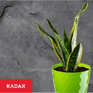 Gėlių vazonas su lėkštute 18 cm