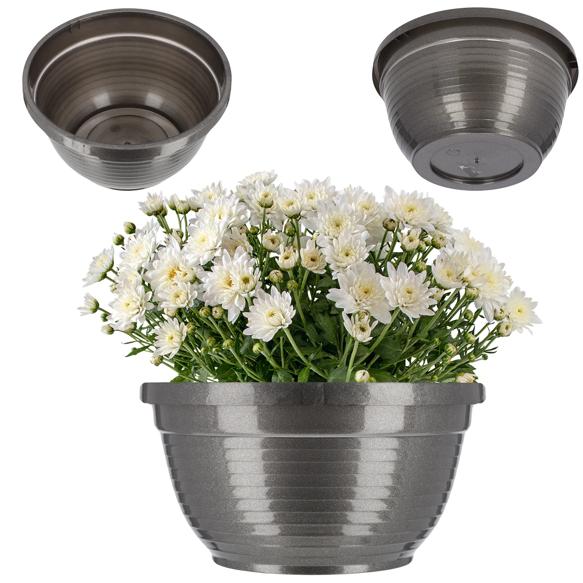 Verrna kapinių gėlių dubuo 26 x 12 cm