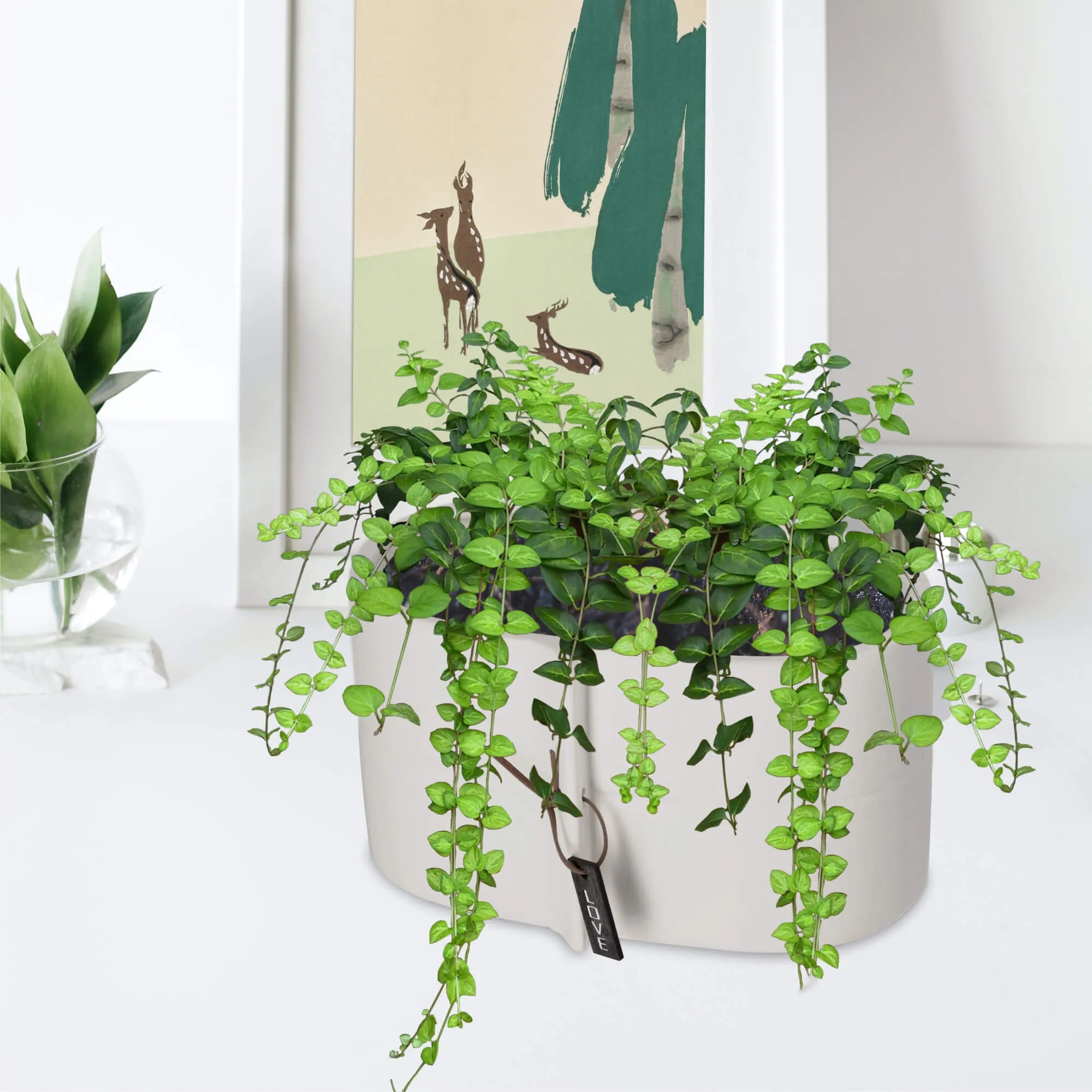 Keramikinis dangtelis 22 x 12 cm