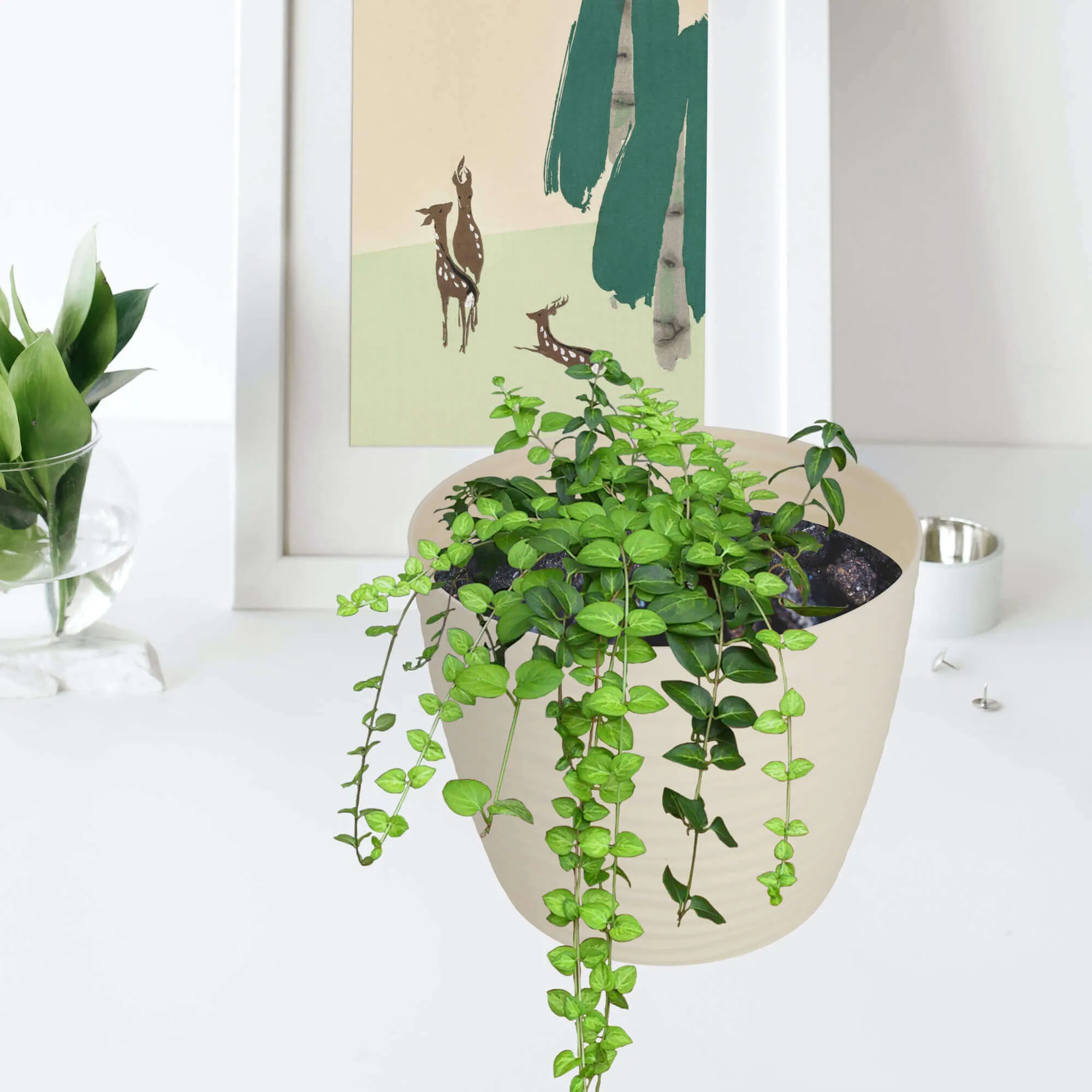 Apvalus gėlių vazonas su lėkštute 15 cm