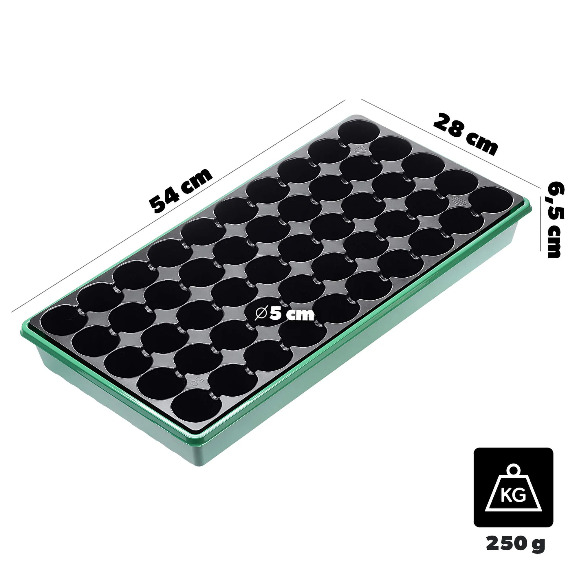 „Vesima“ 50 ląstelių daiginimo mini šiltnamis, juodas ir žalias