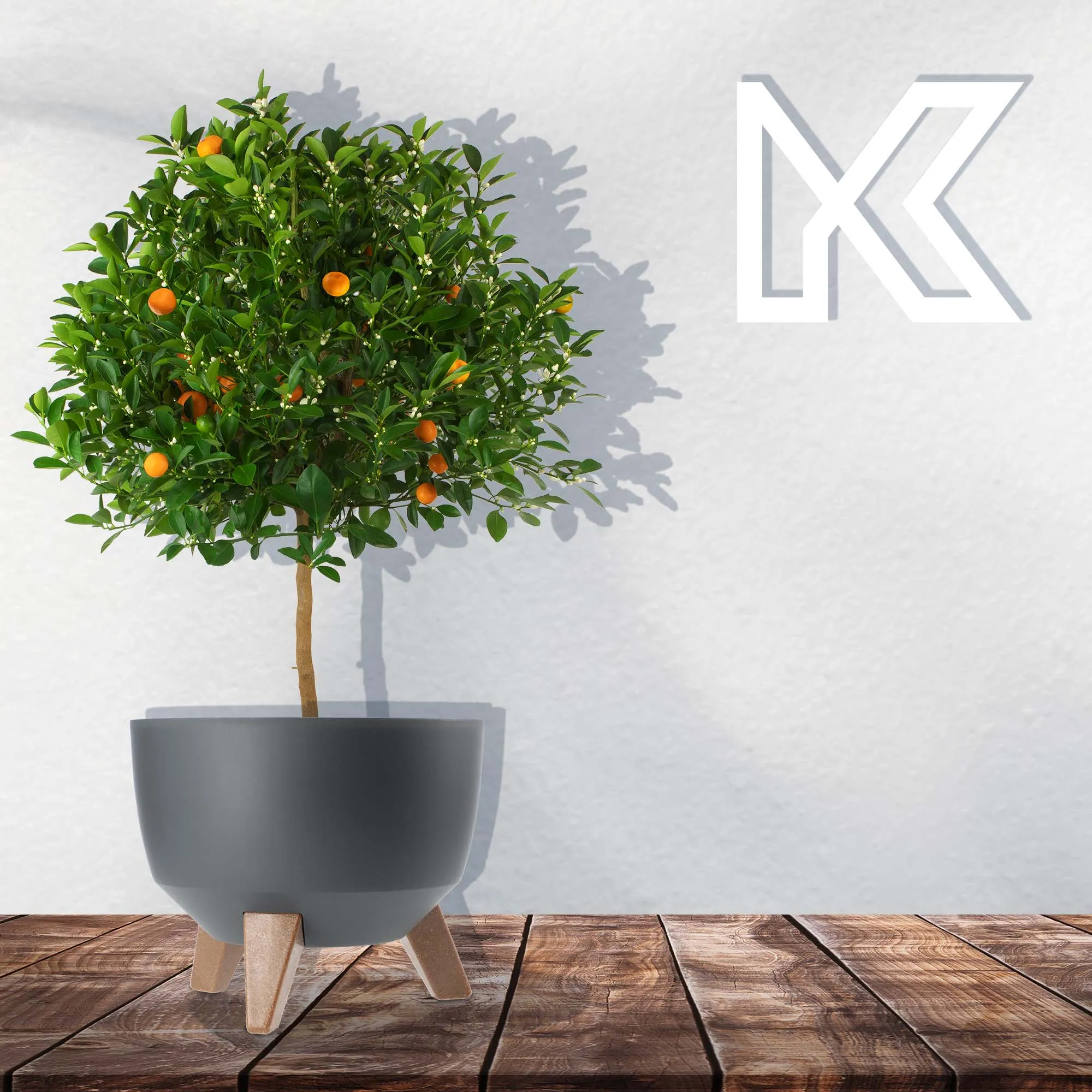 Luri gėlių dubuo su kojelėmis 24 cm