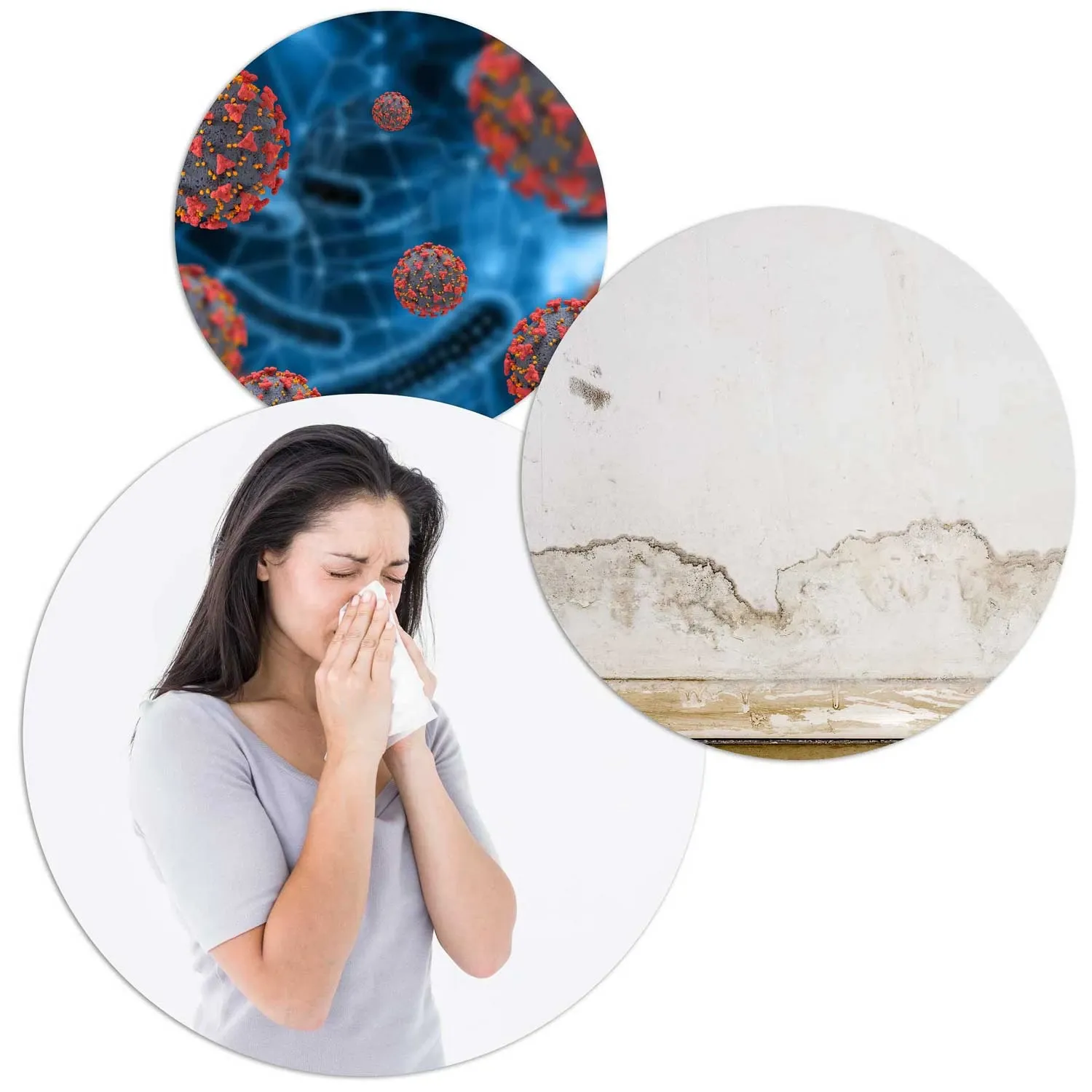 Berdsen BR-75B balto oro sausintuvas - drėgmės sugėriklis - nuotrauka 1