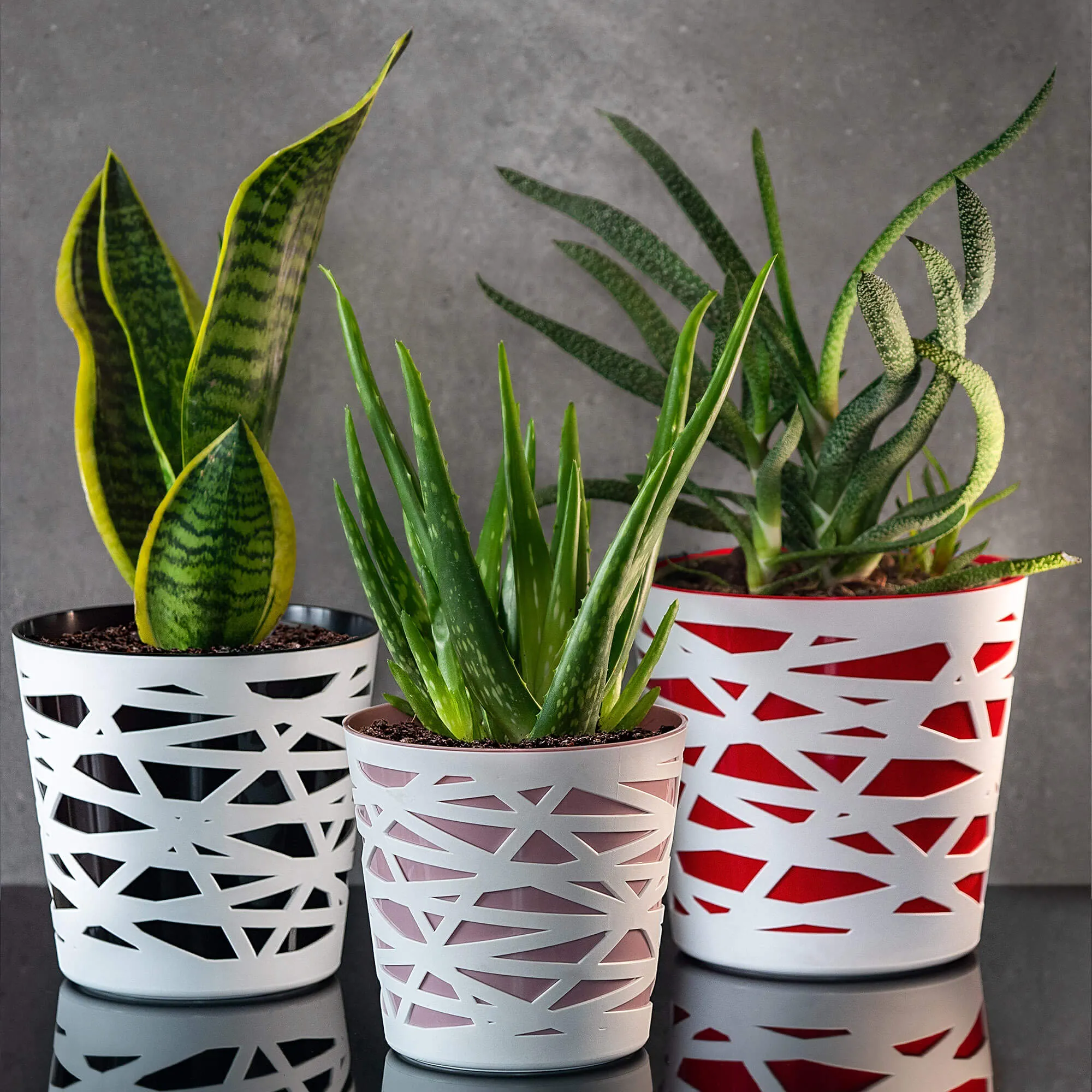 Rusio vazonas su įdėklu 15 cm